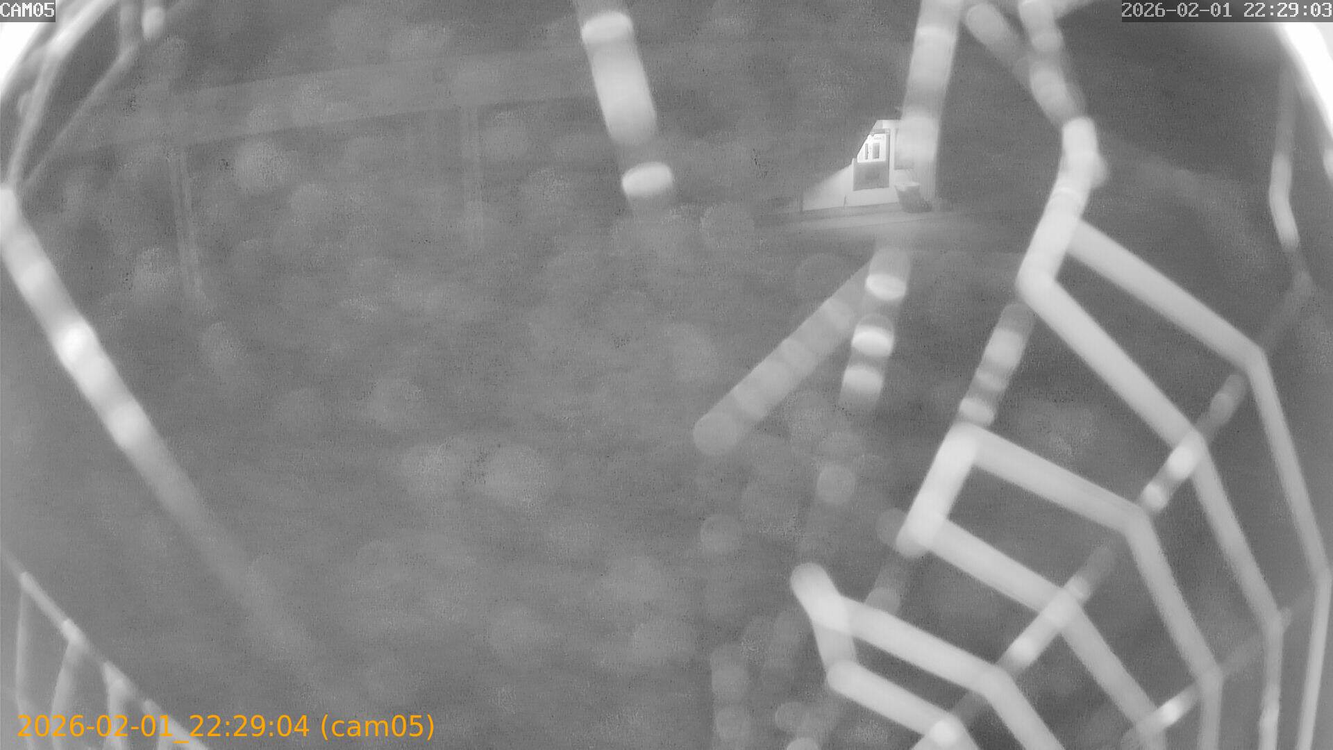 thumbnail_20260201222904