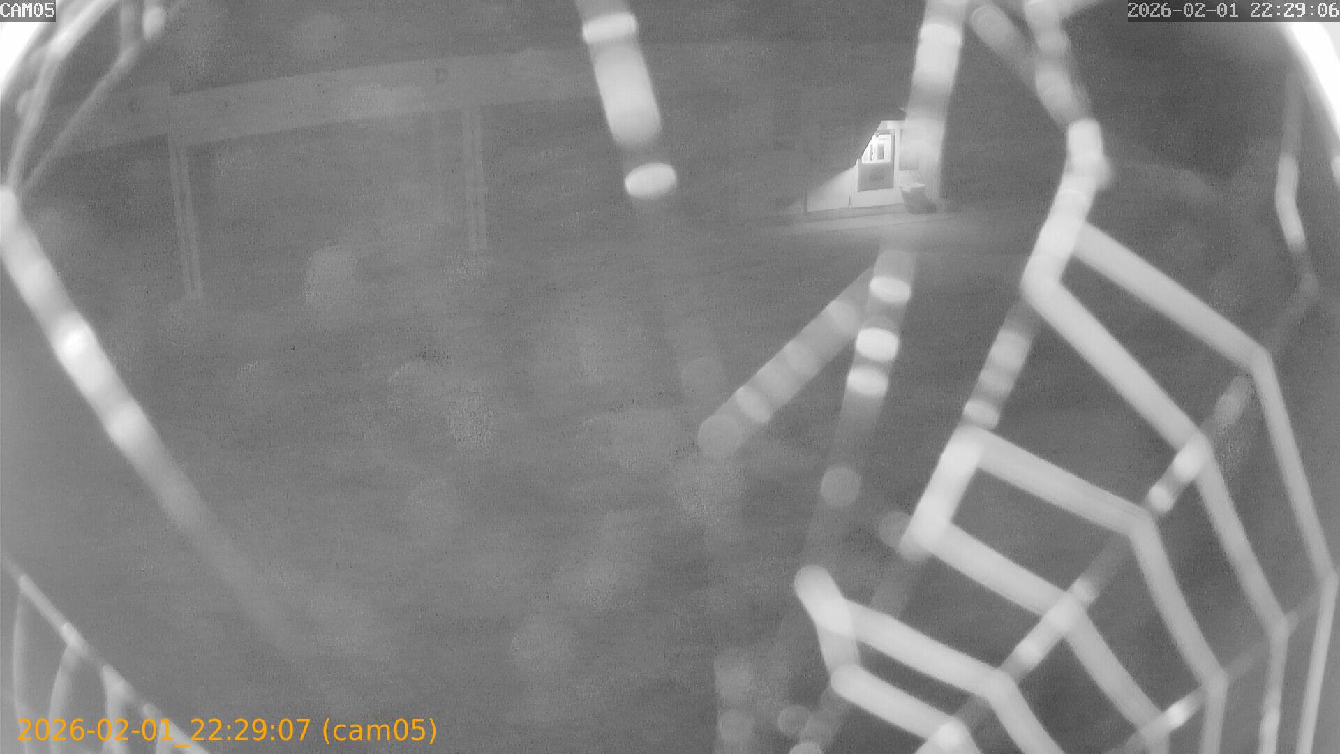 thumbnail_20260201222907