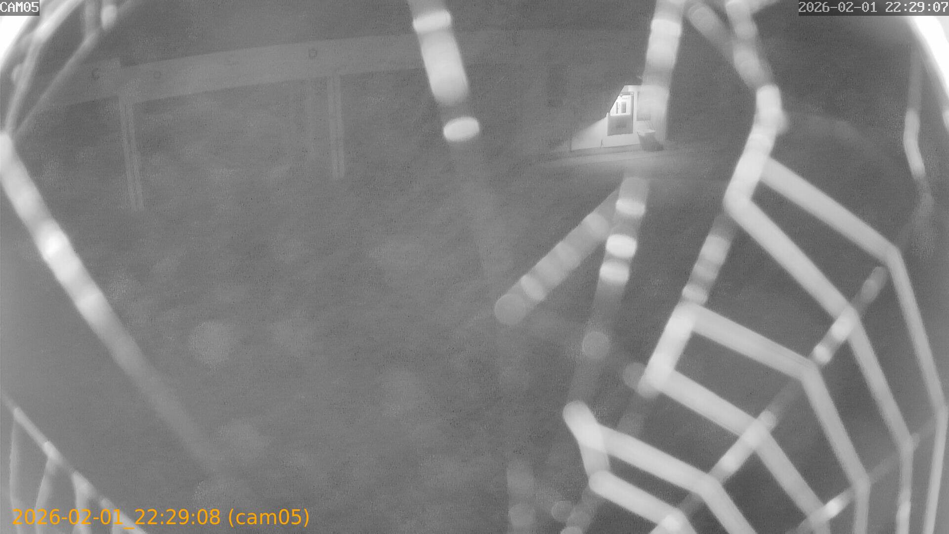 thumbnail_20260201222908