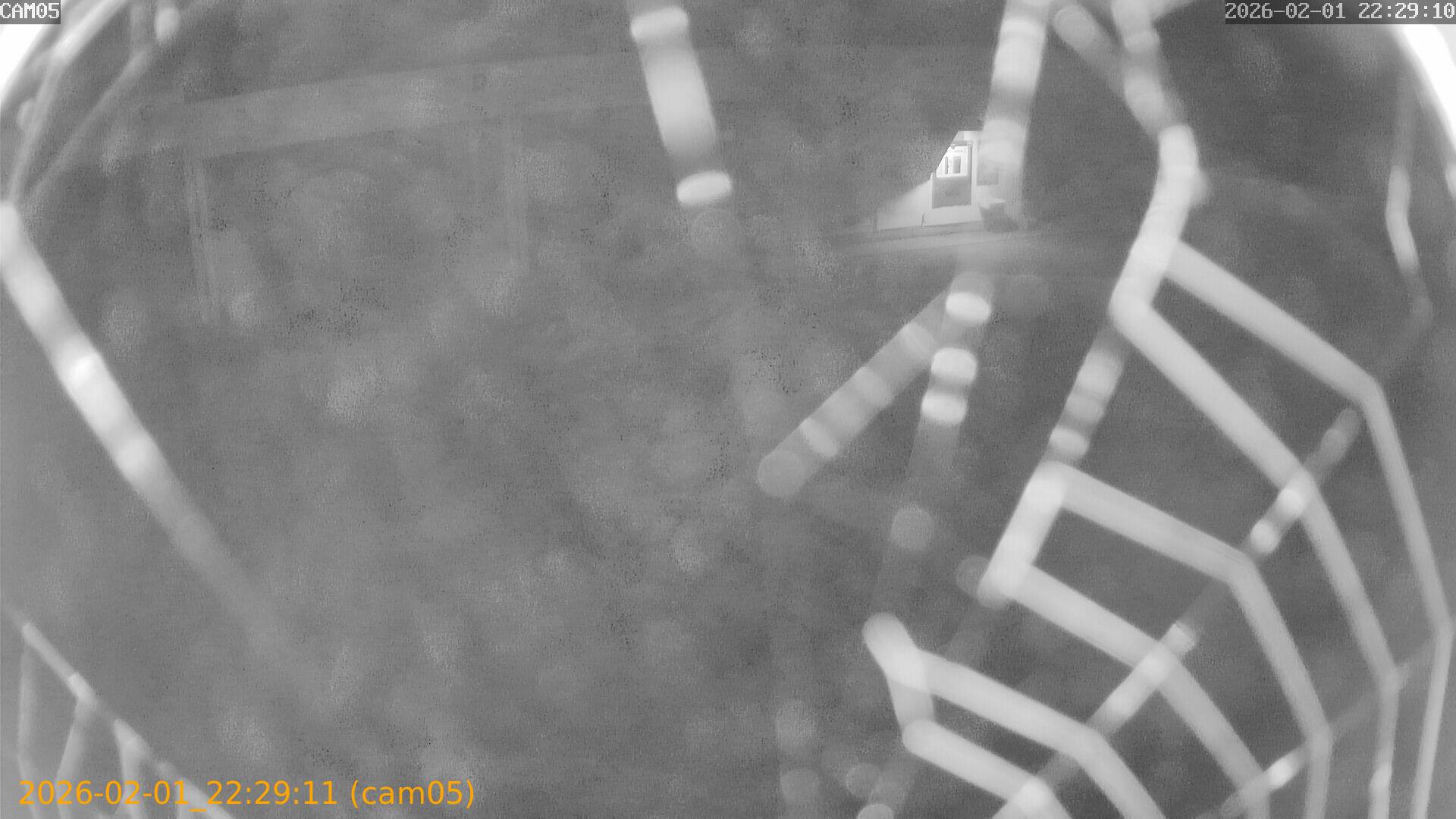 thumbnail_20260201222911