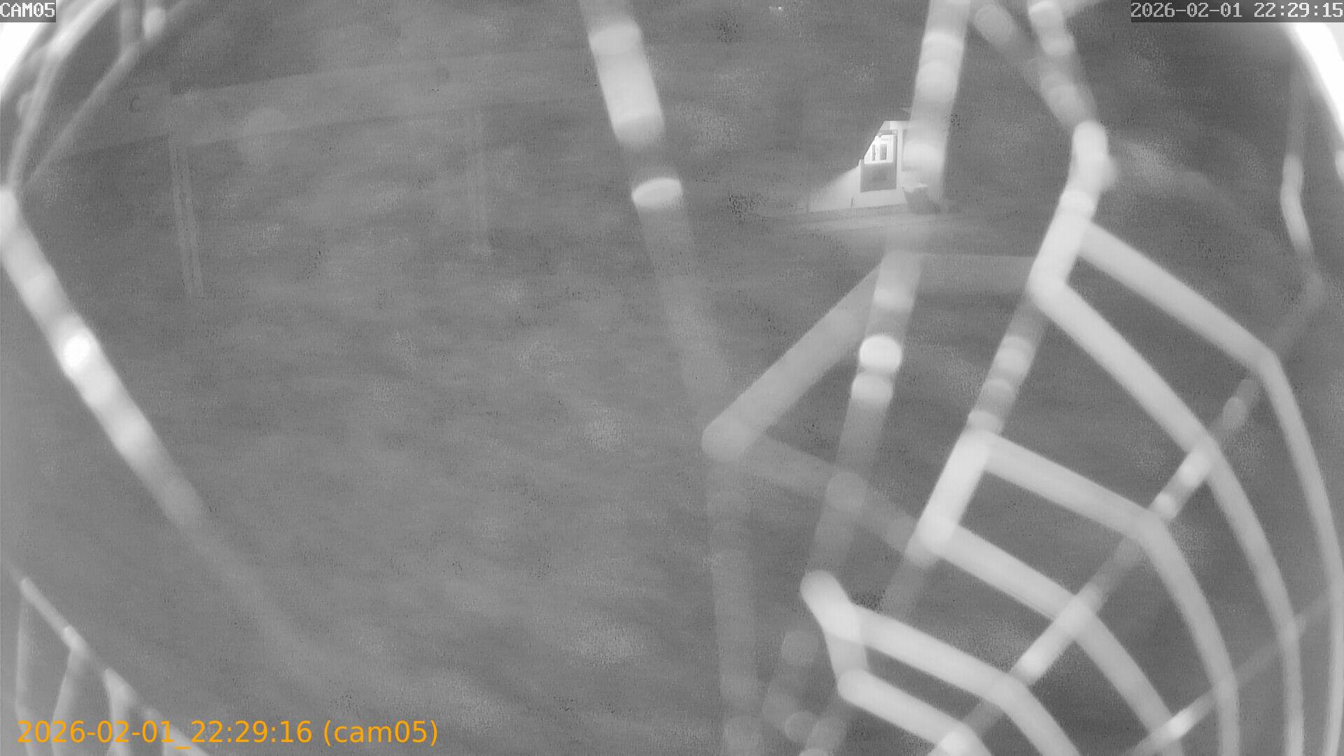 thumbnail_20260201222916