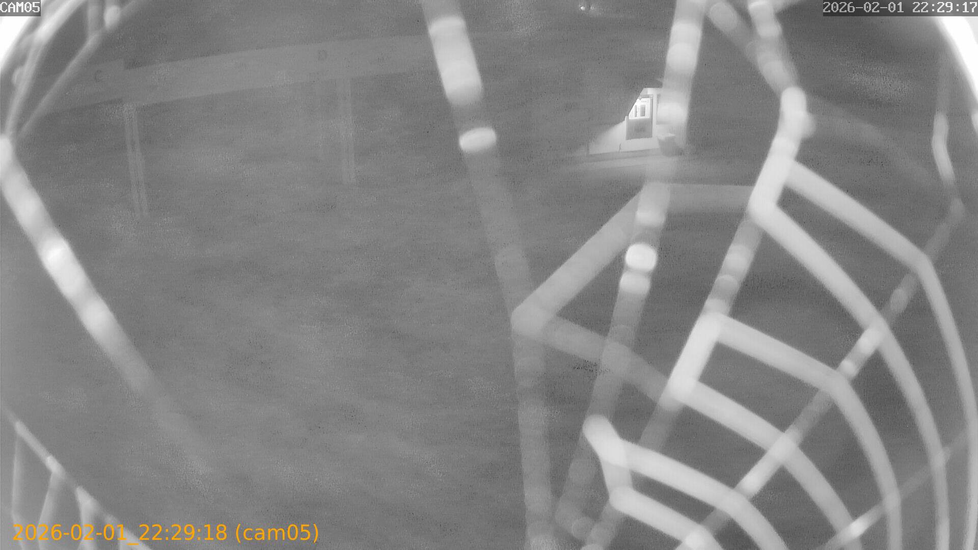 thumbnail_20260201222918