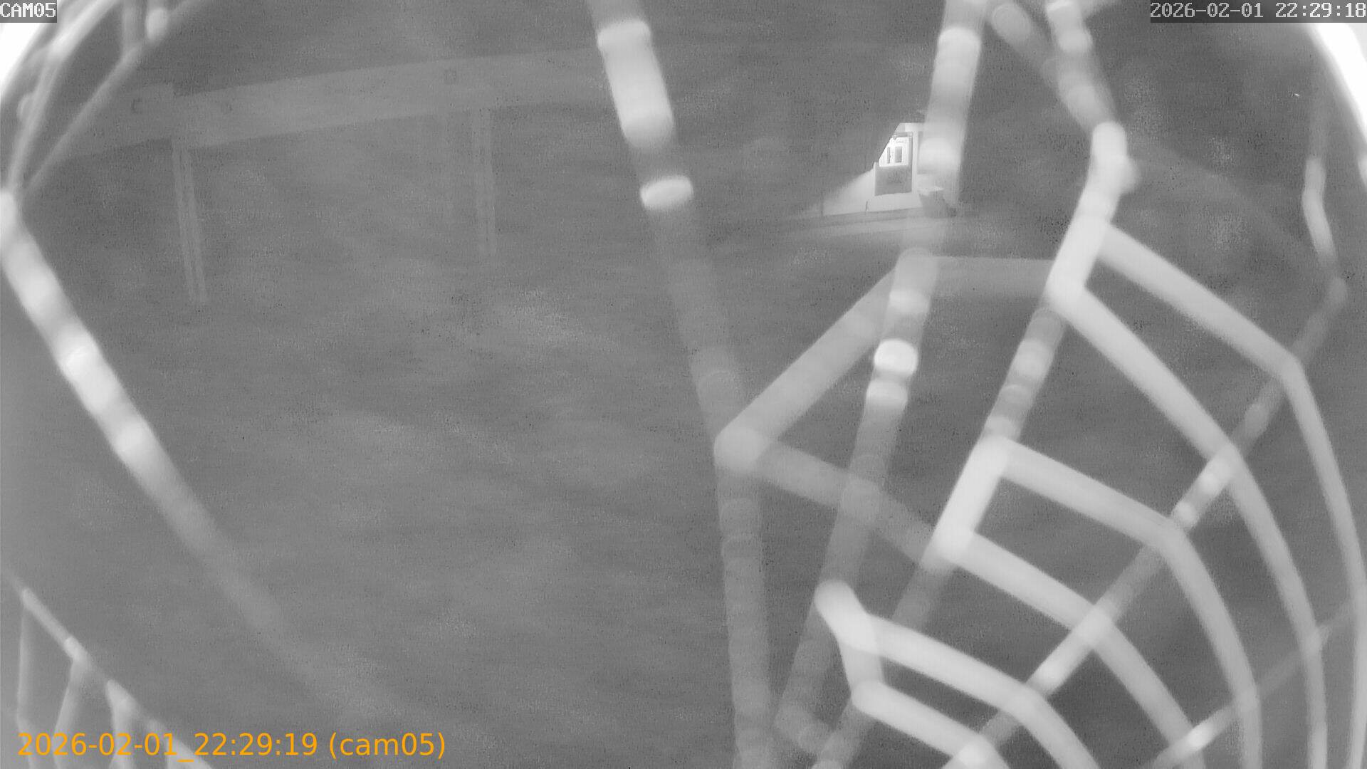 thumbnail_20260201222919