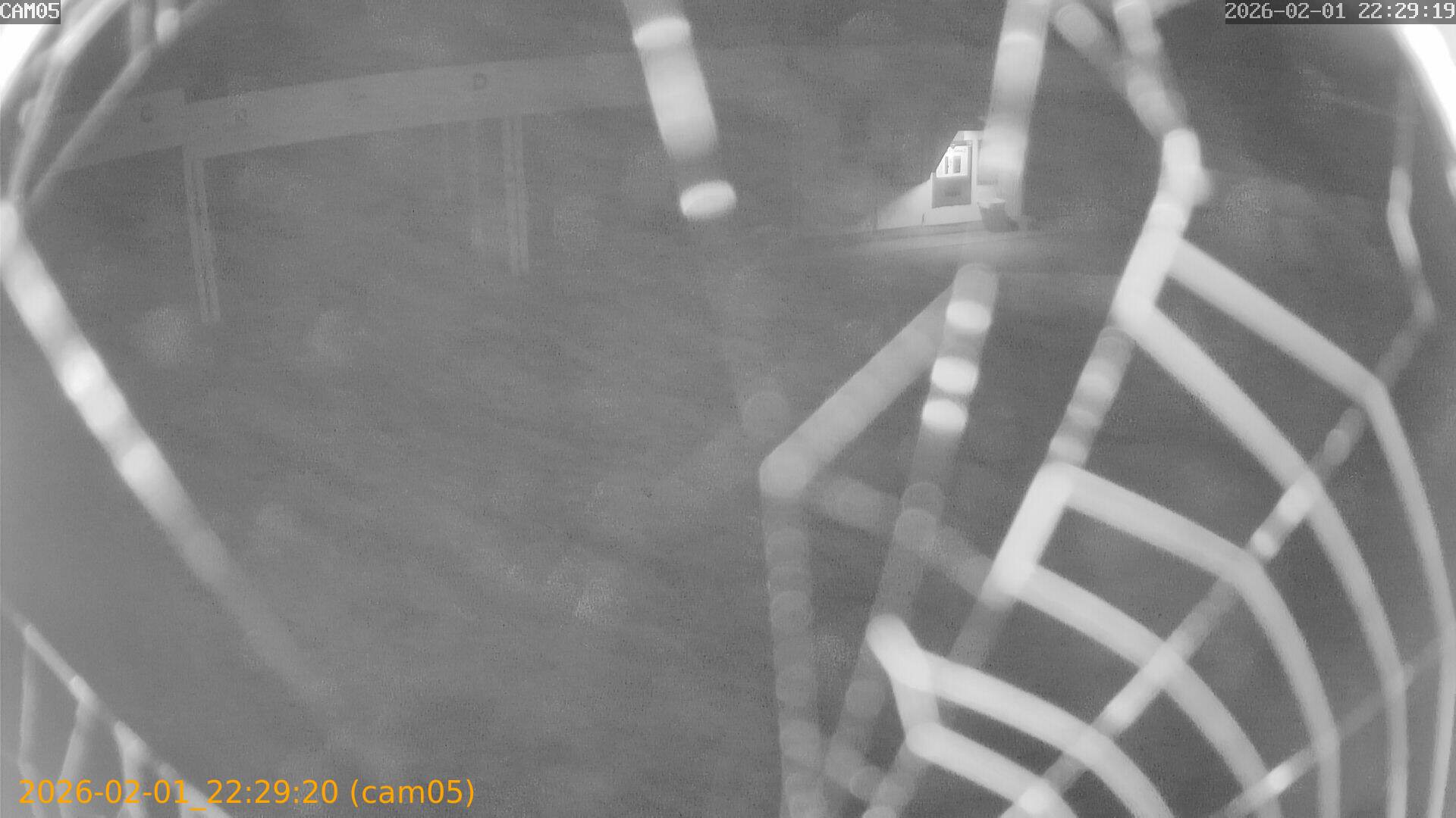 thumbnail_20260201222920