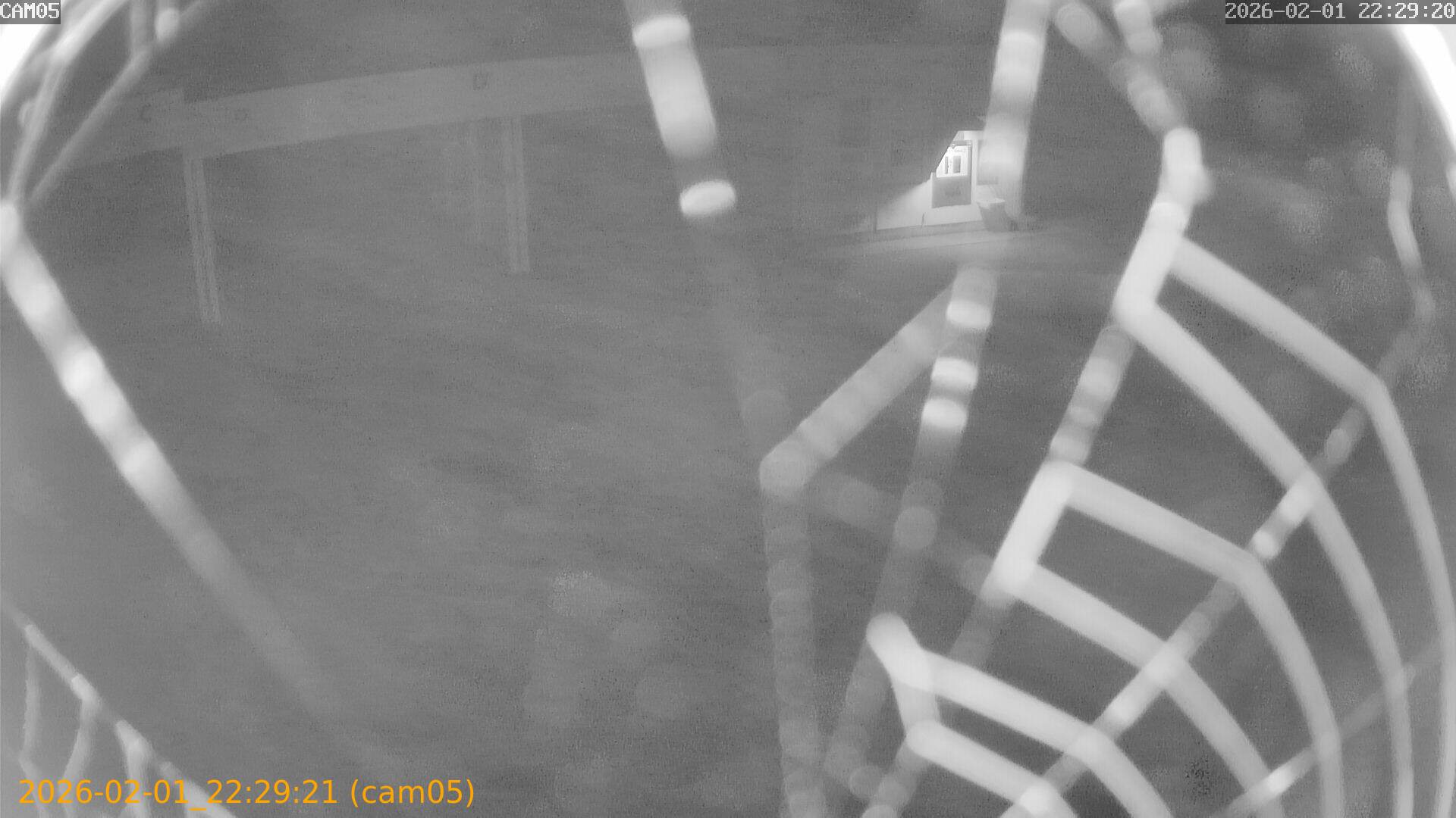 thumbnail_20260201222921