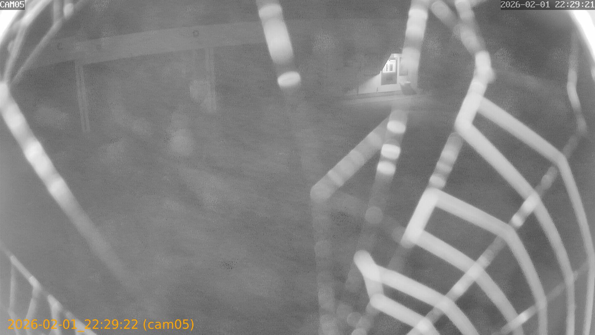 thumbnail_20260201222922