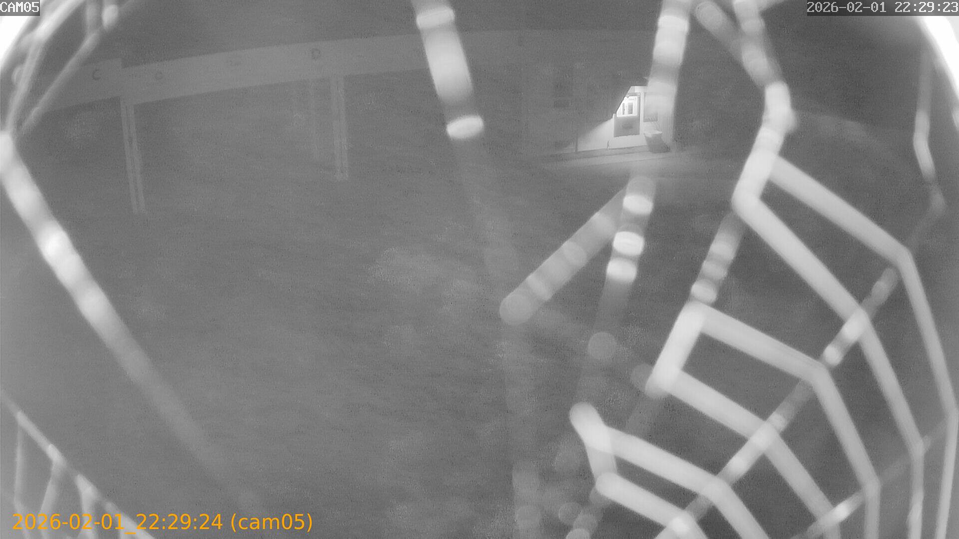 thumbnail_20260201222924