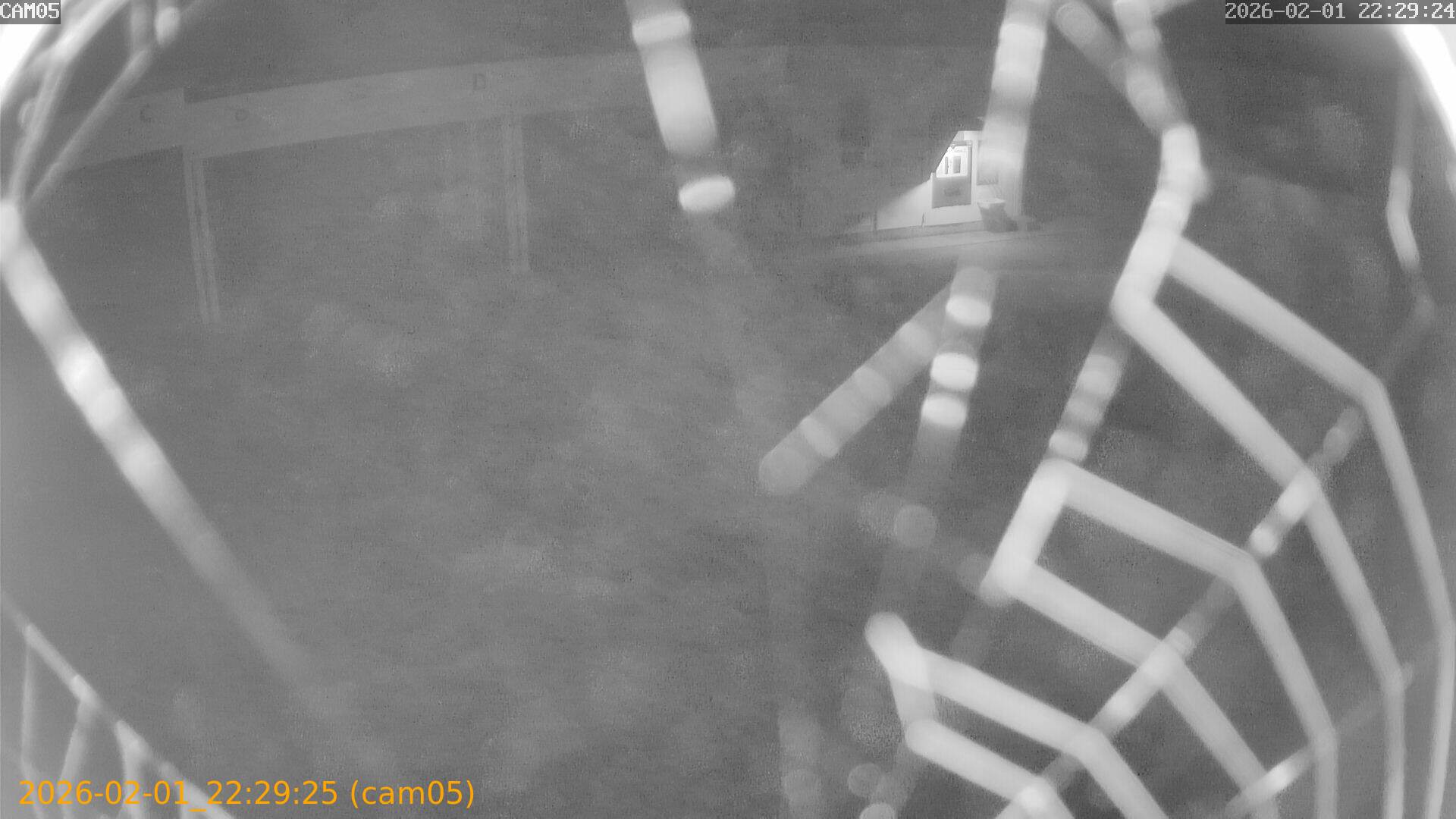 thumbnail_20260201222925