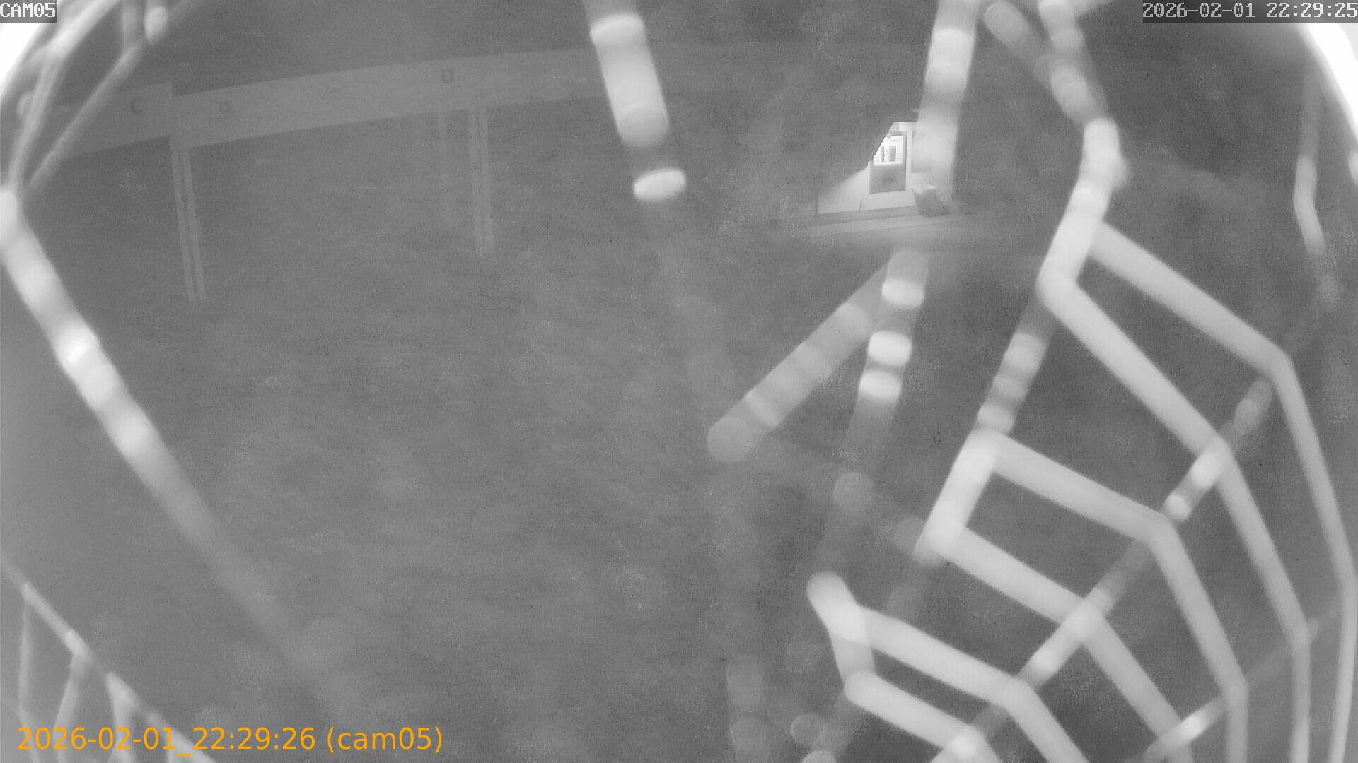 thumbnail_20260201222926