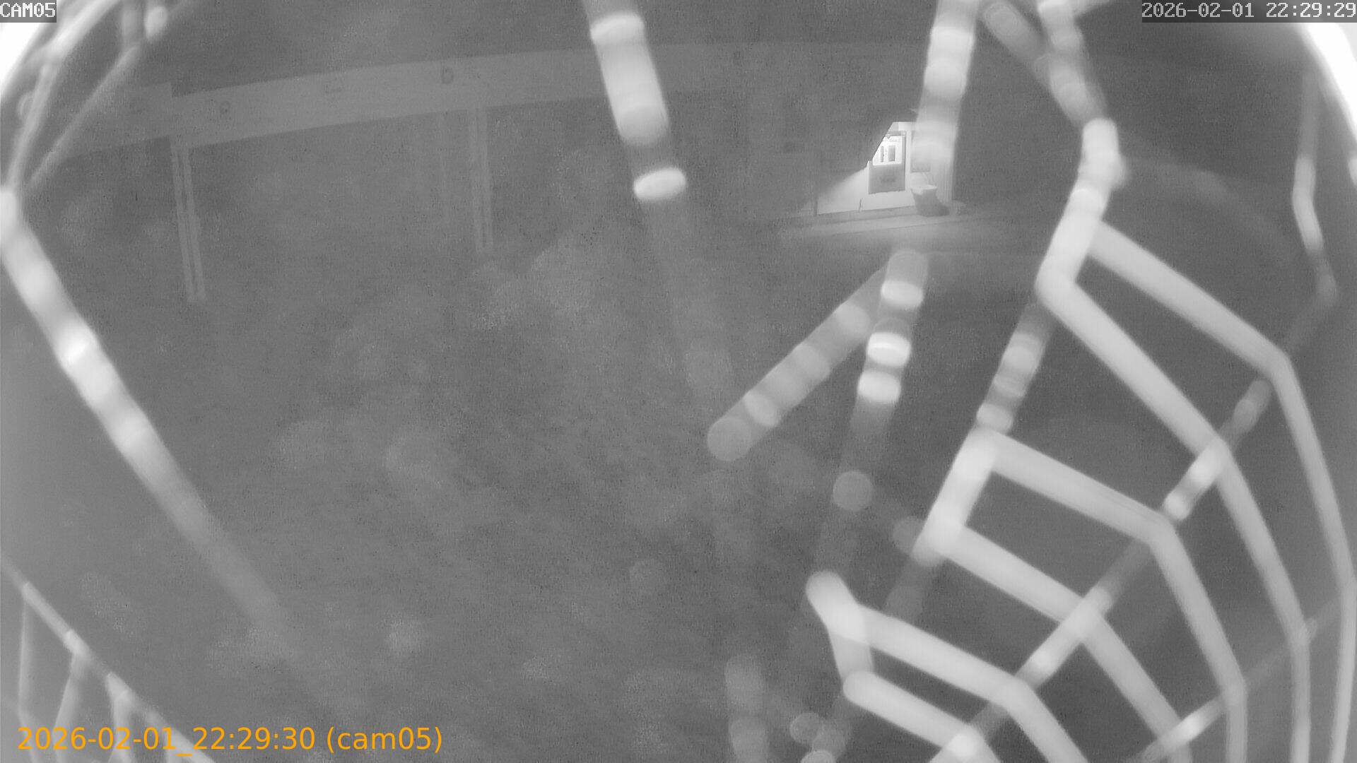 thumbnail_20260201222930