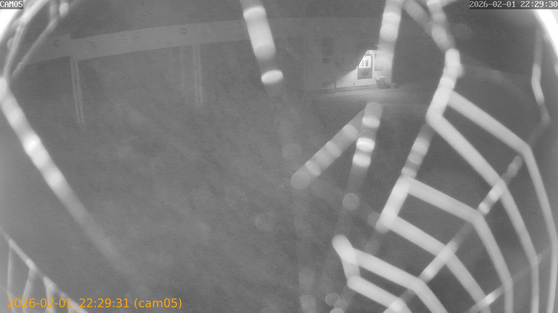 thumbnail_20260201222931