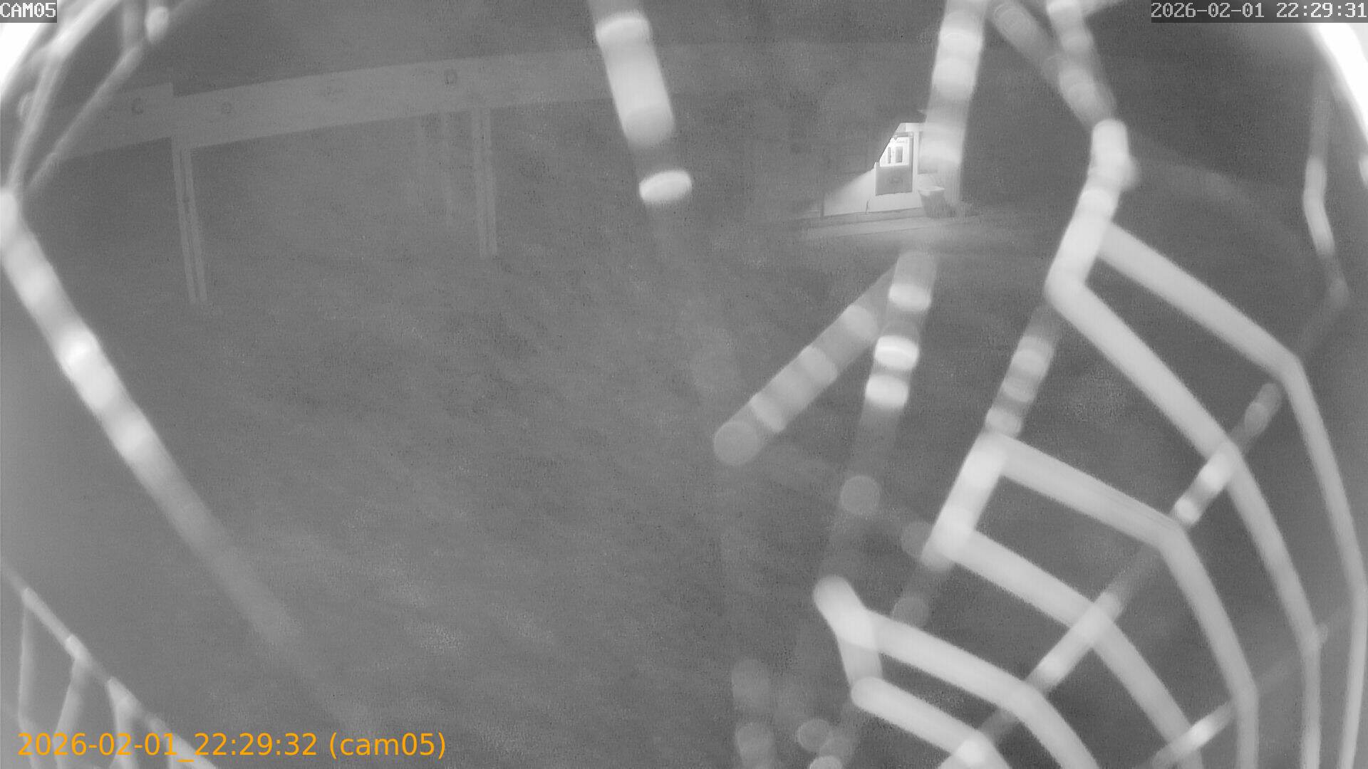 thumbnail_20260201222932