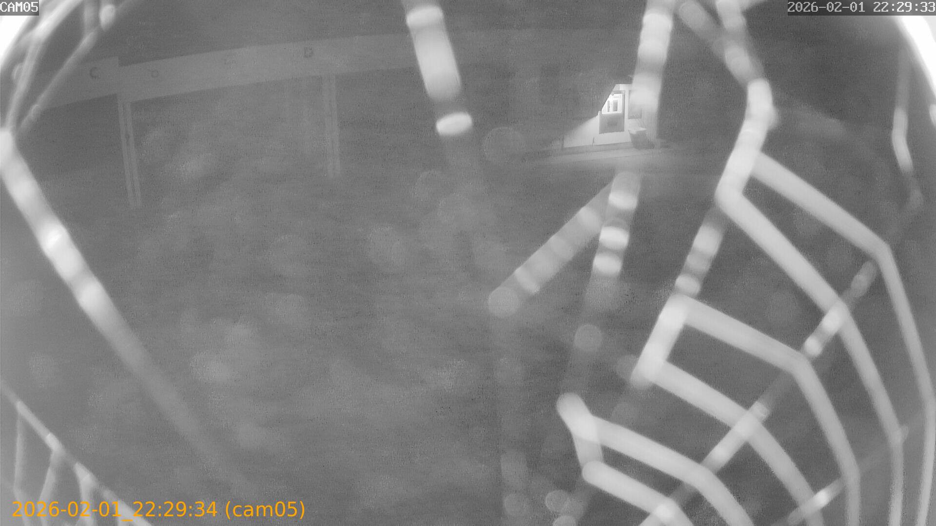 thumbnail_20260201222934