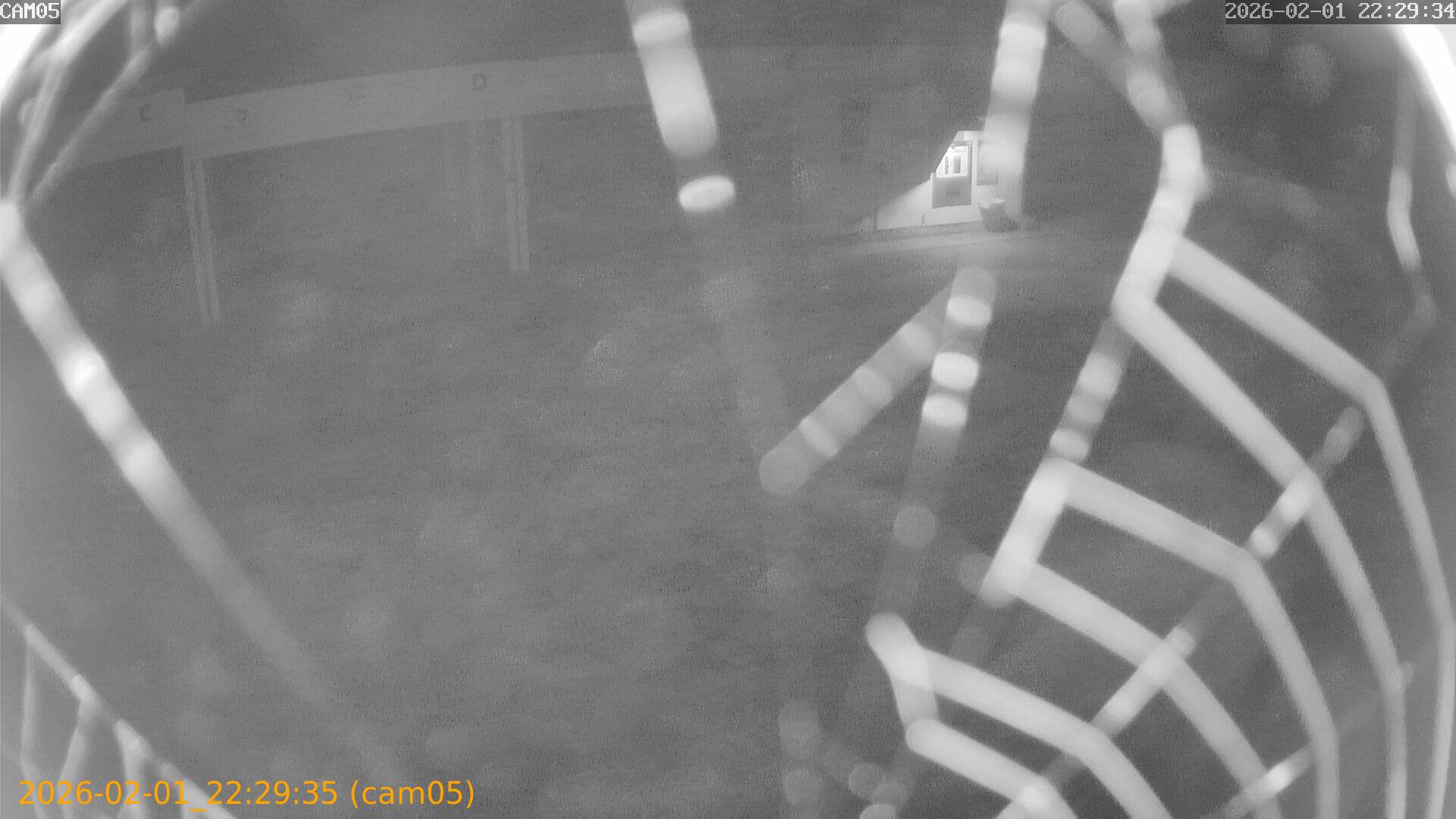 thumbnail_20260201222935