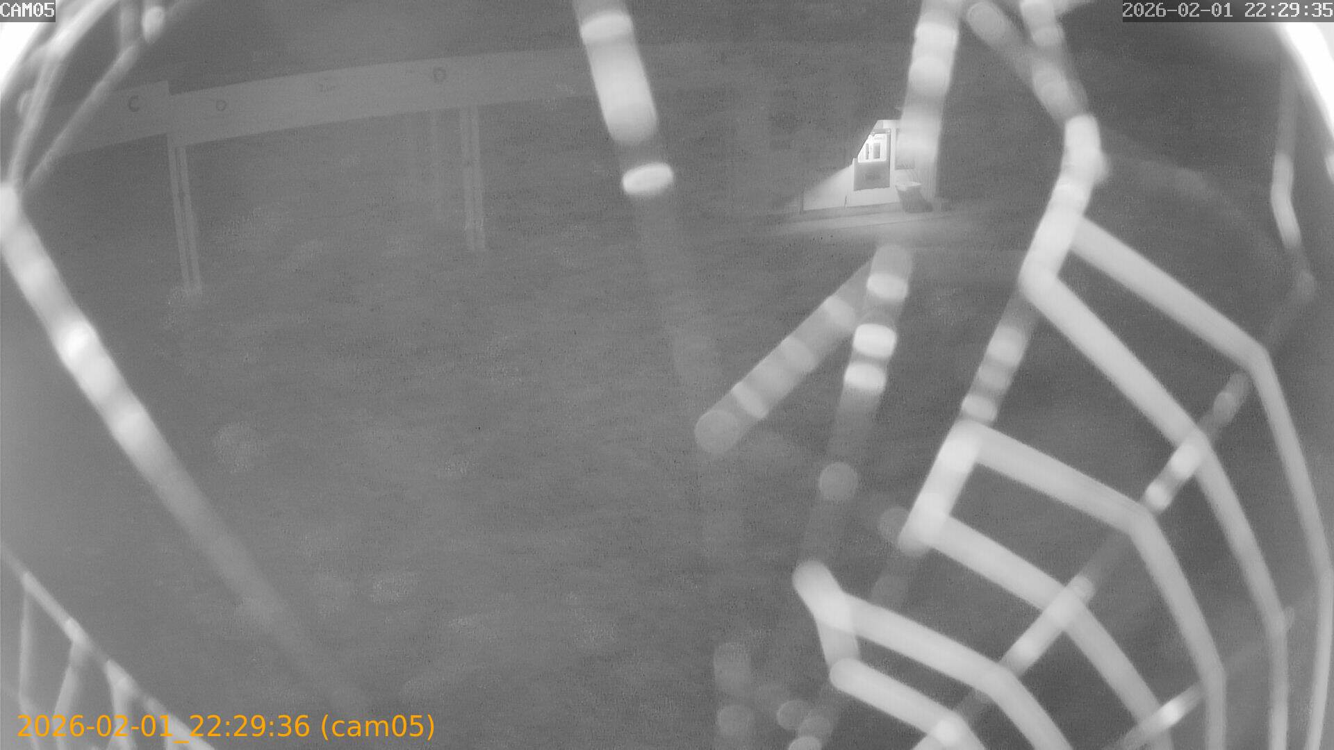 thumbnail_20260201222936