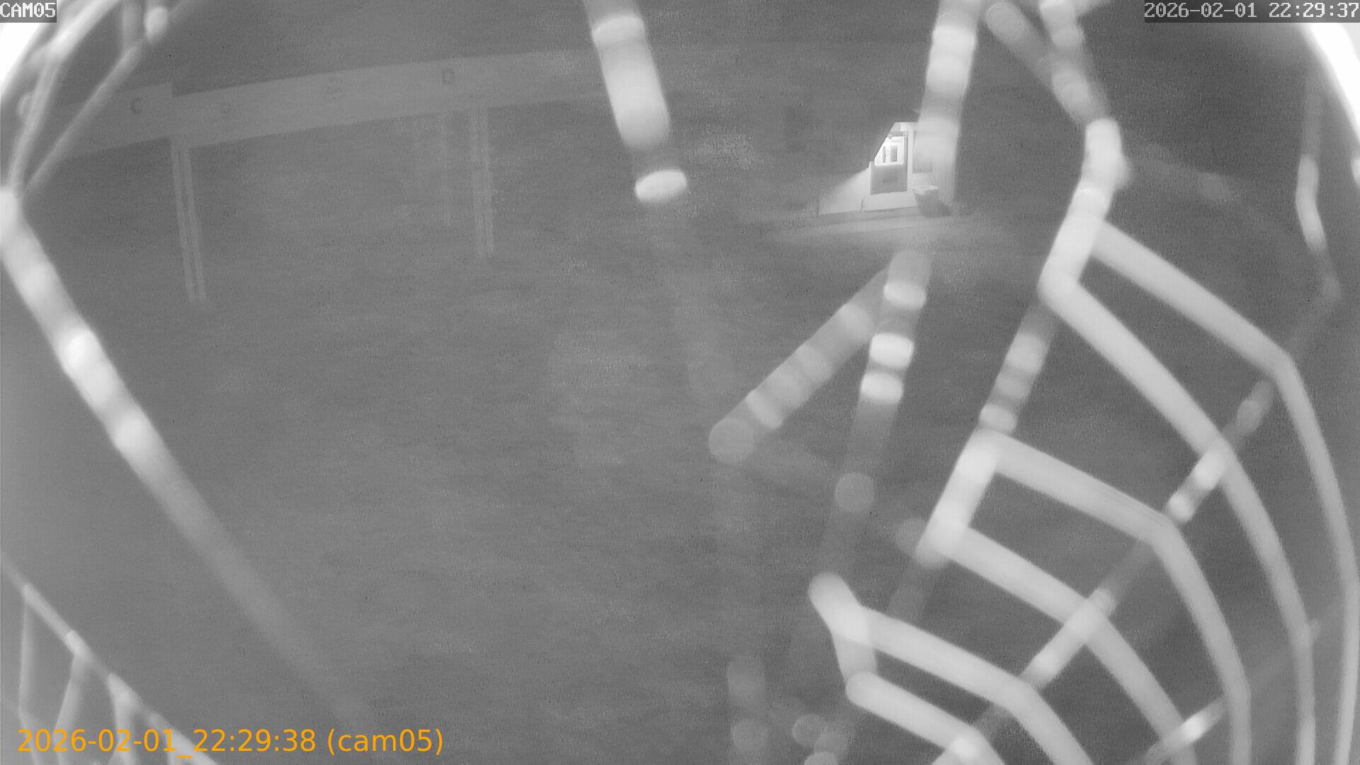 thumbnail_20260201222938