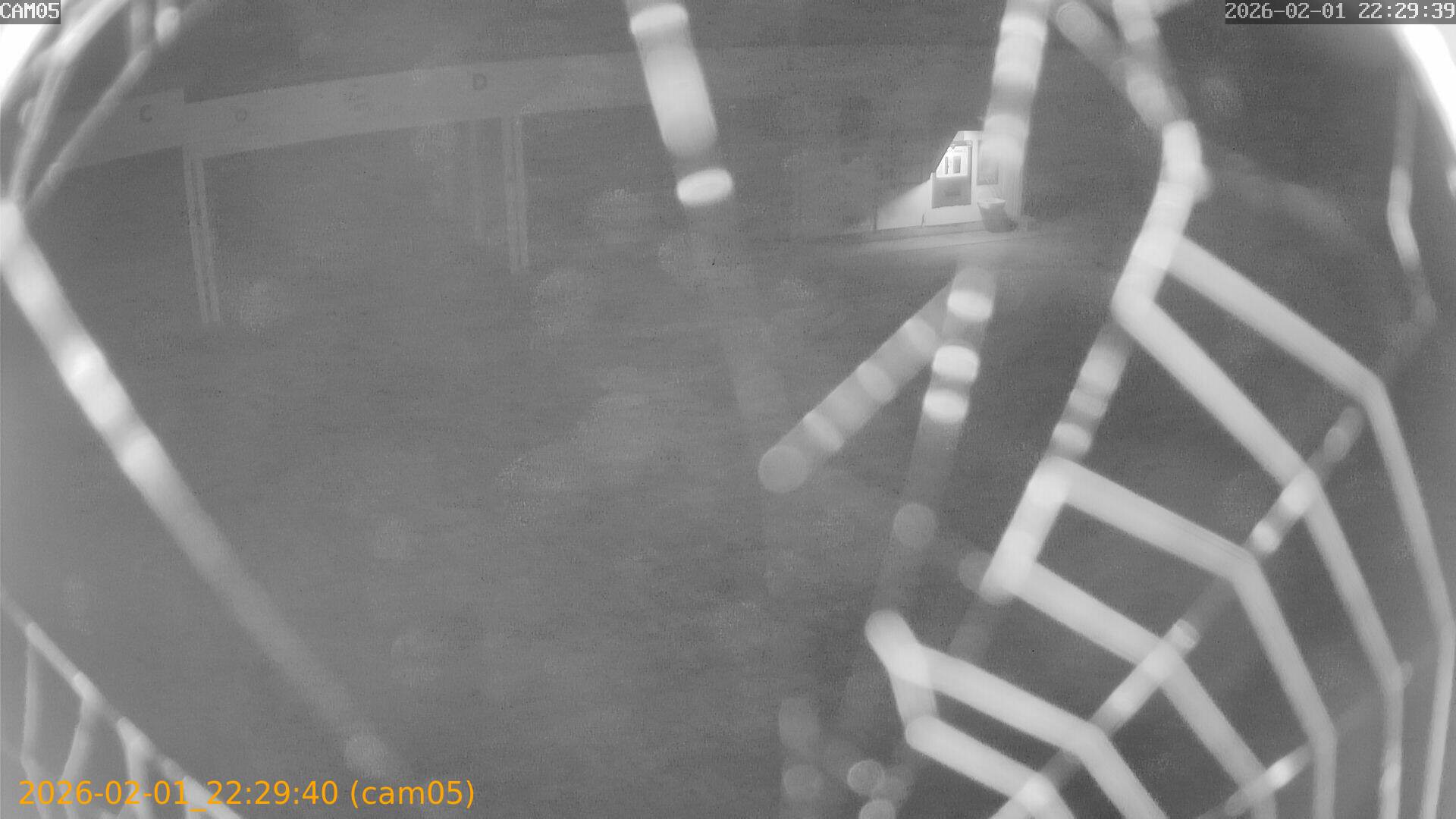 thumbnail_20260201222940