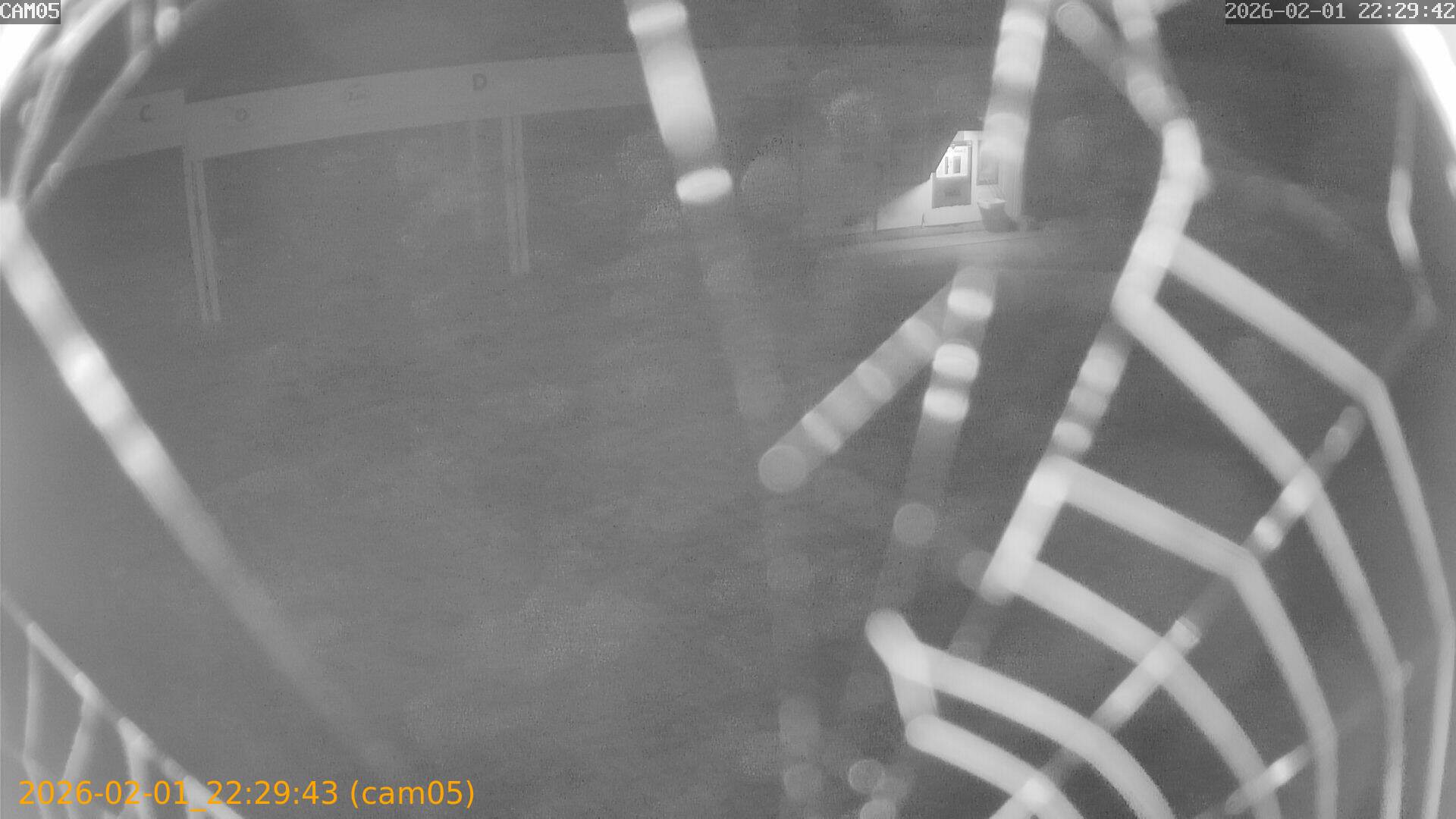 thumbnail_20260201222943