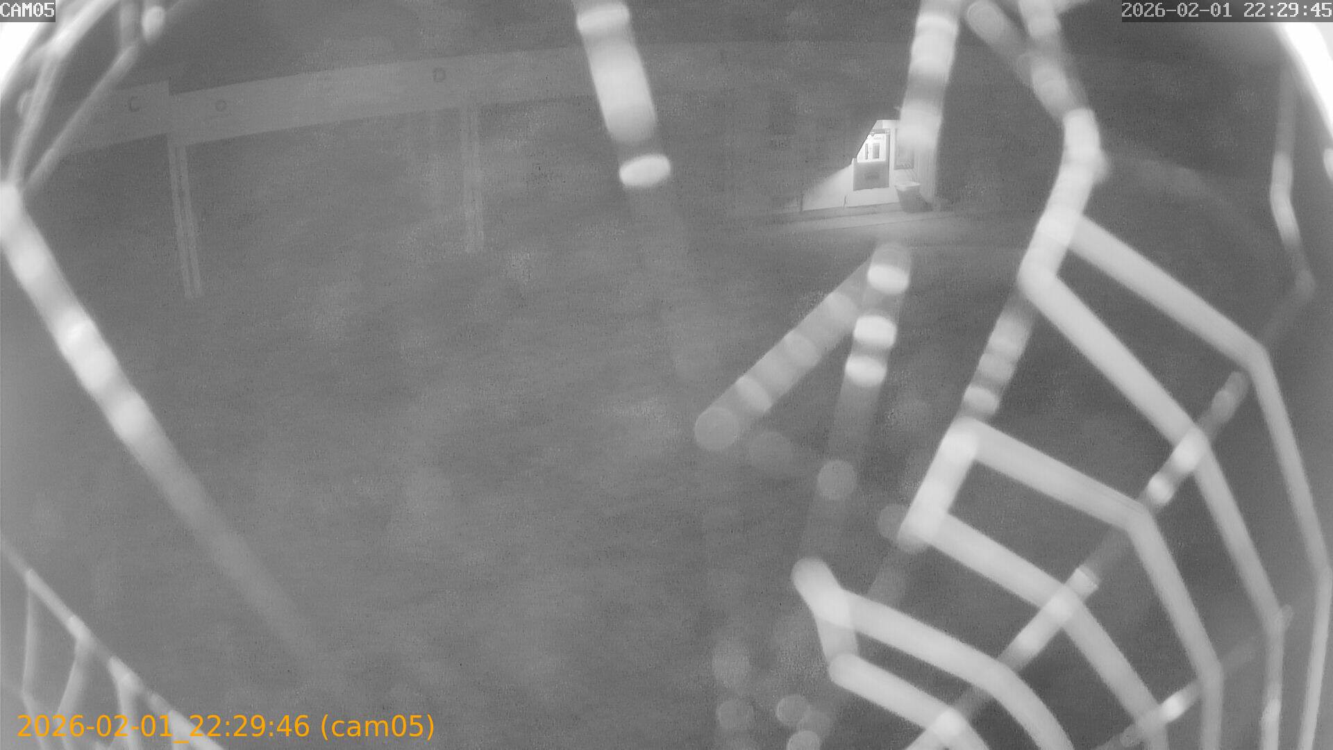 thumbnail_20260201222946