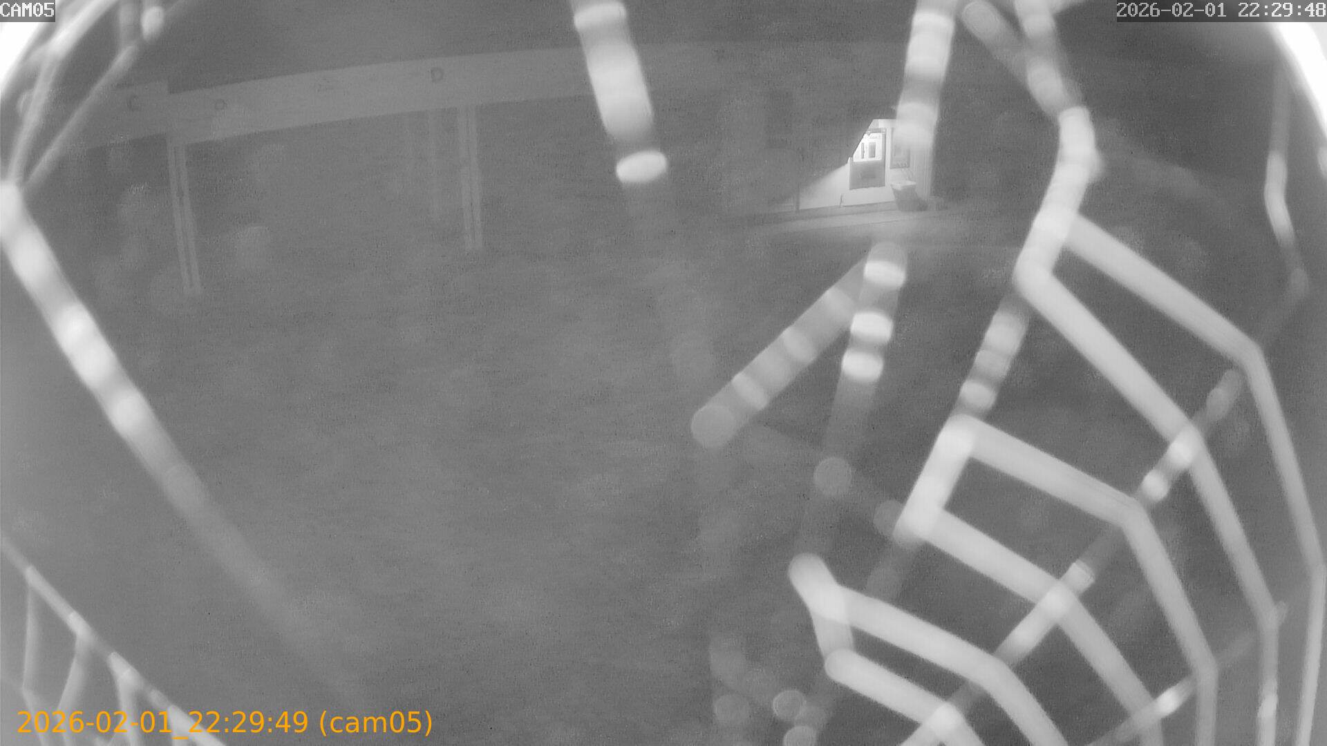 thumbnail_20260201222949