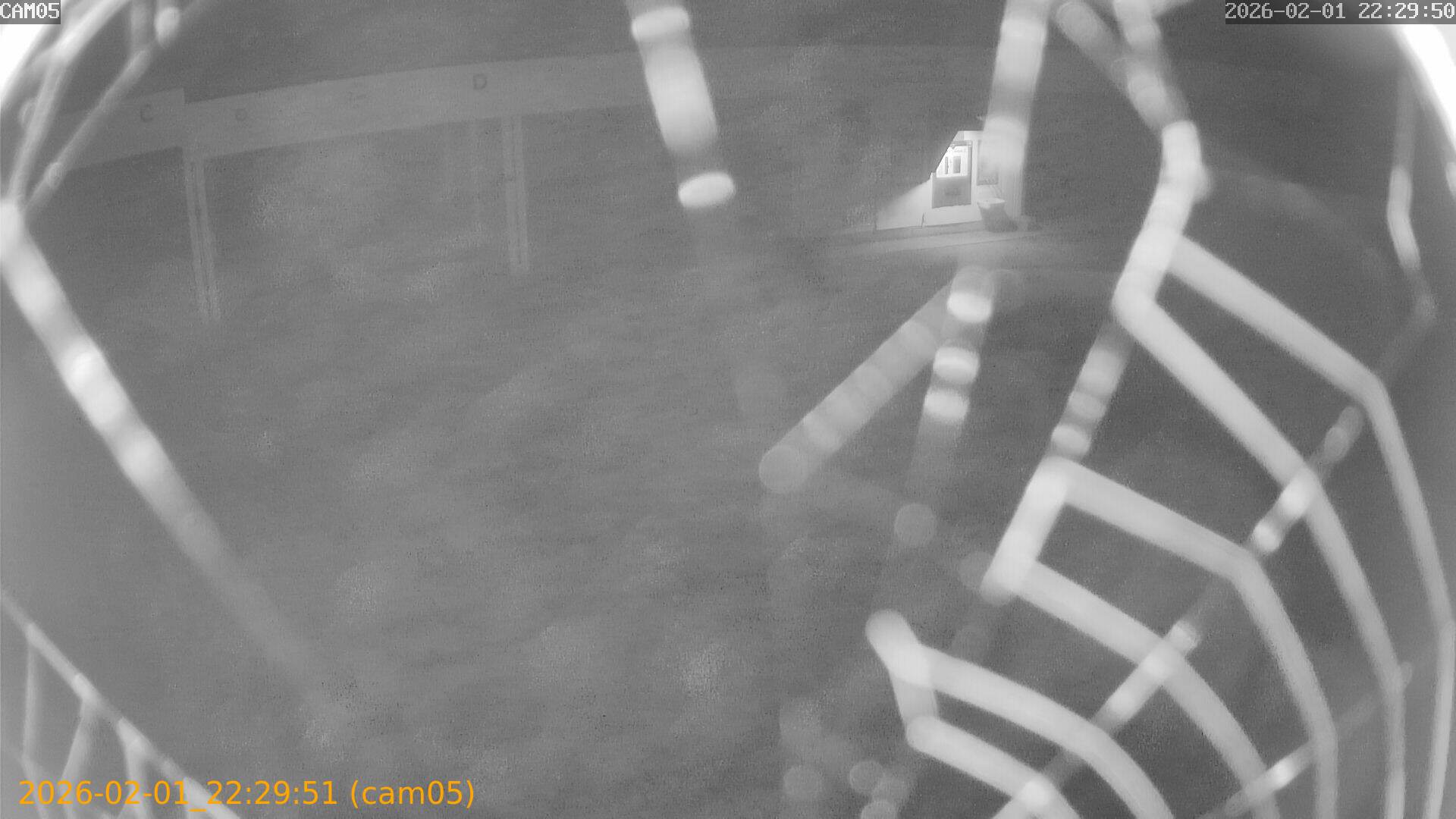 thumbnail_20260201222951