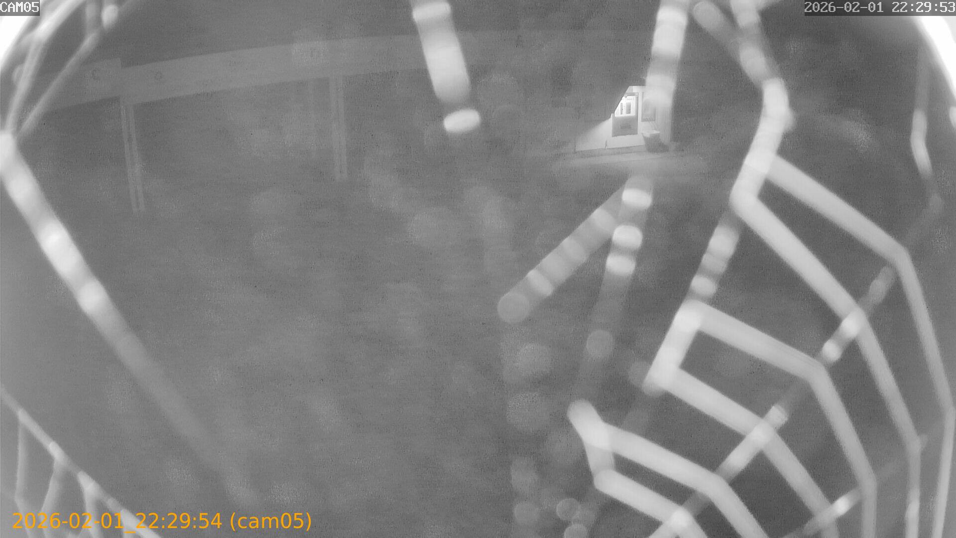 thumbnail_20260201222954