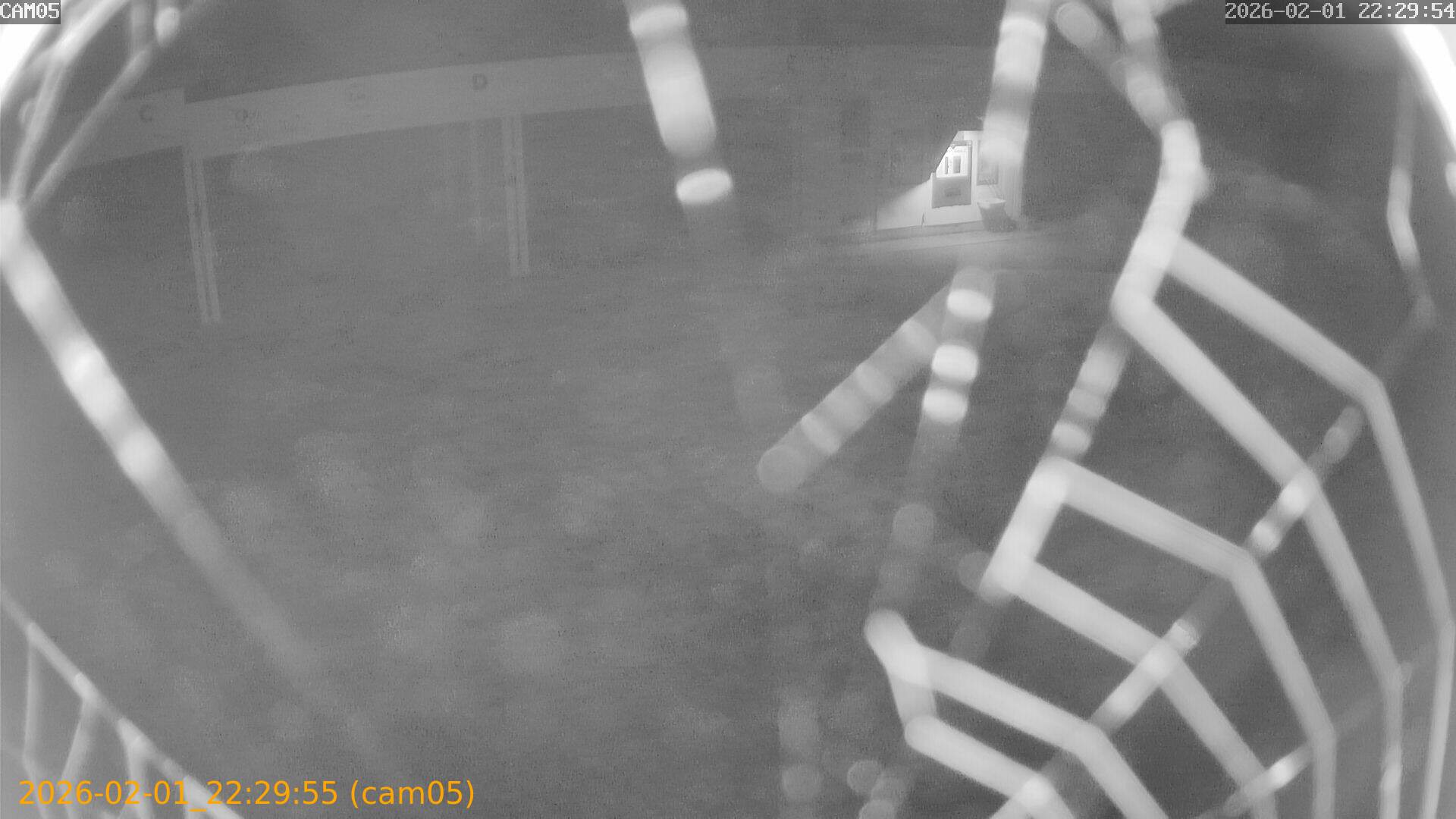 thumbnail_20260201222955