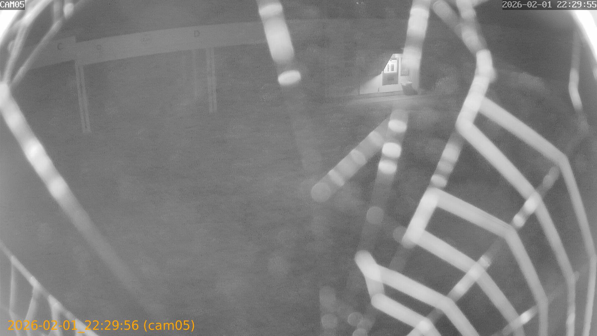 thumbnail_20260201222956