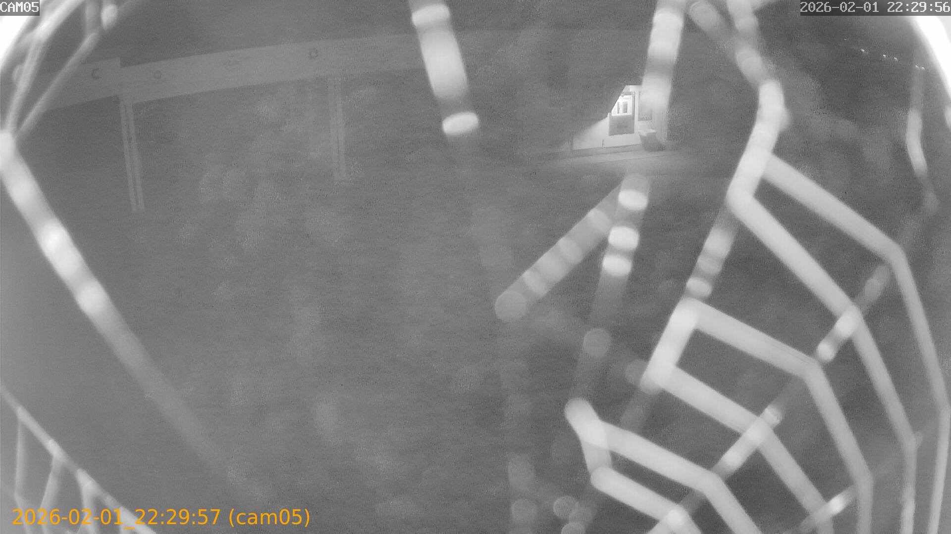 thumbnail_20260201222957