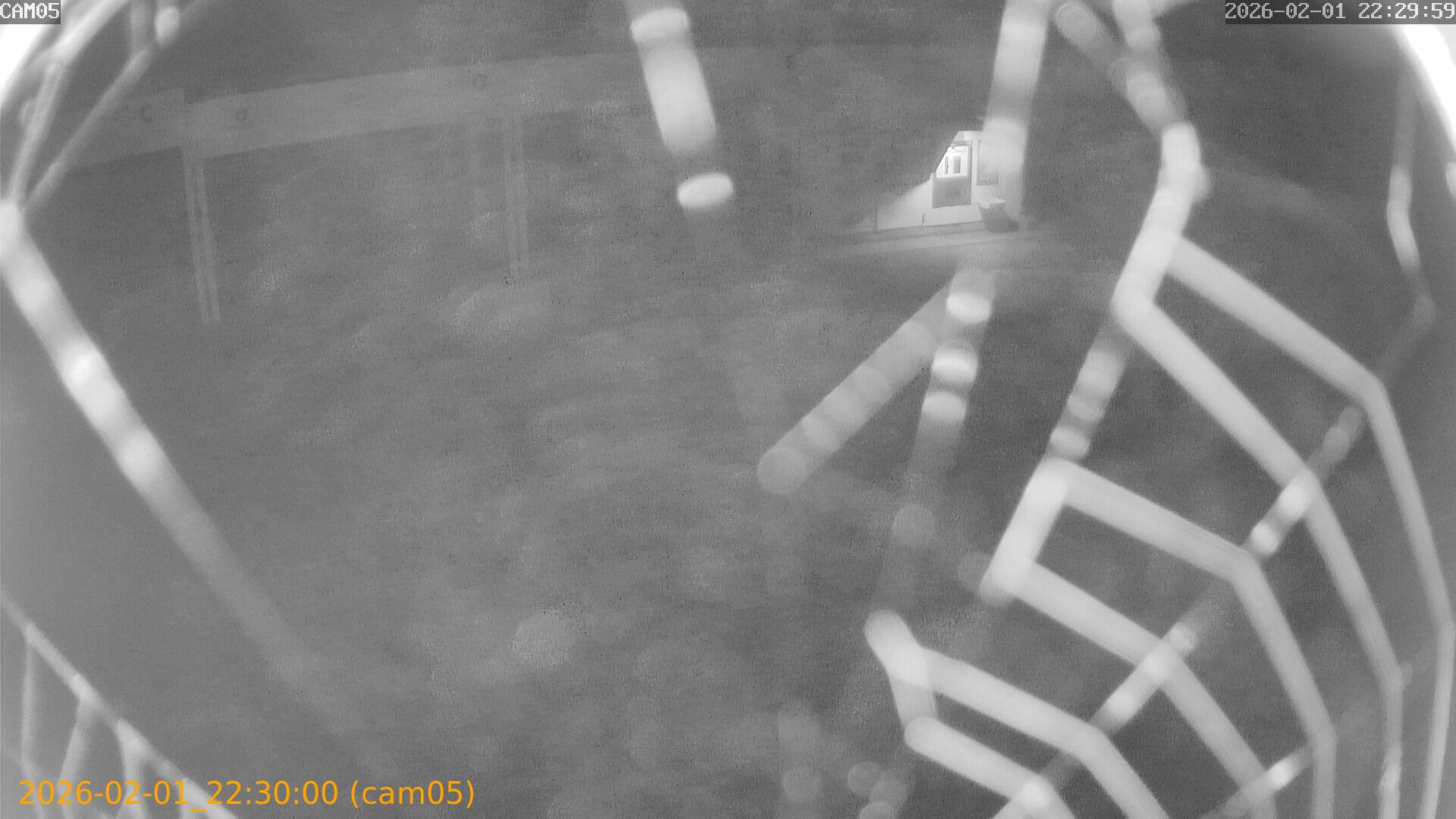 thumbnail_20260201223000