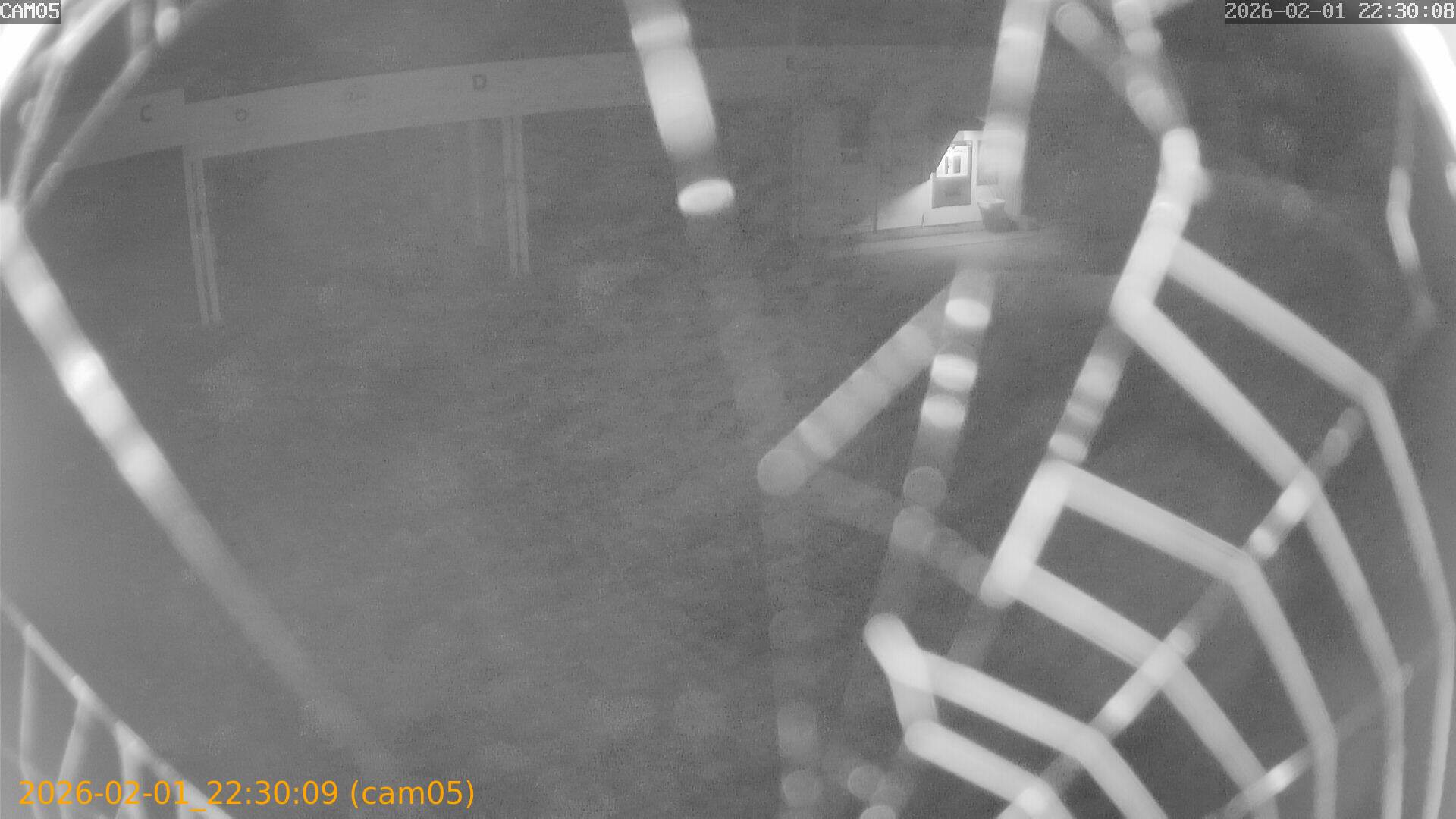 thumbnail_20260201223009