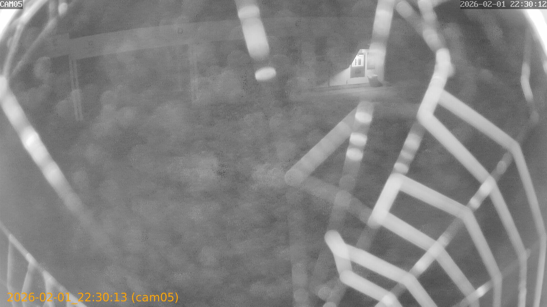 thumbnail_20260201223013