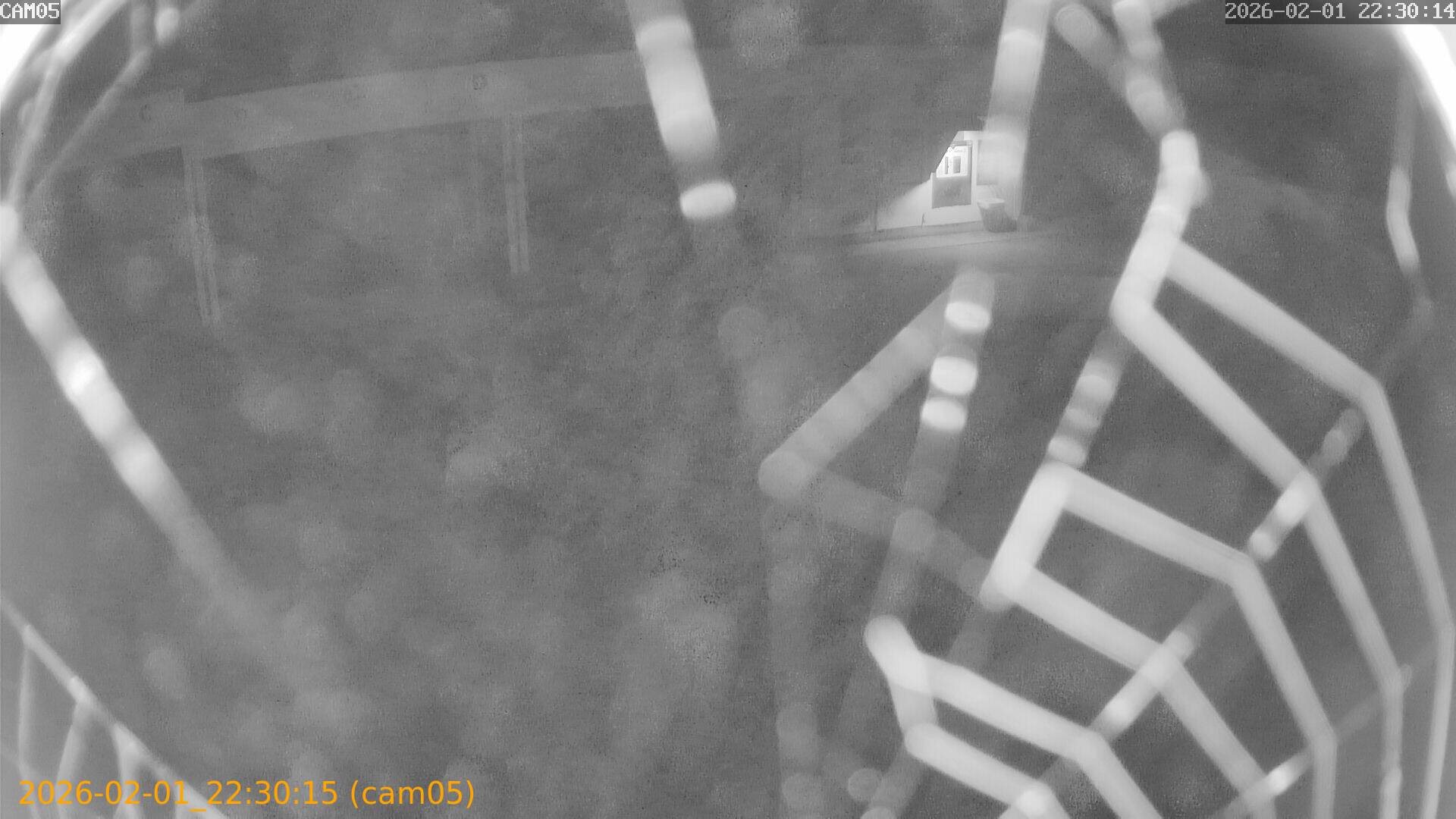 thumbnail_20260201223015