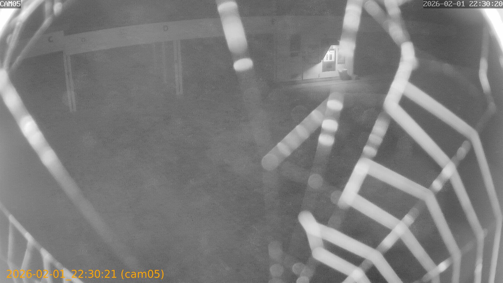 thumbnail_20260201223021