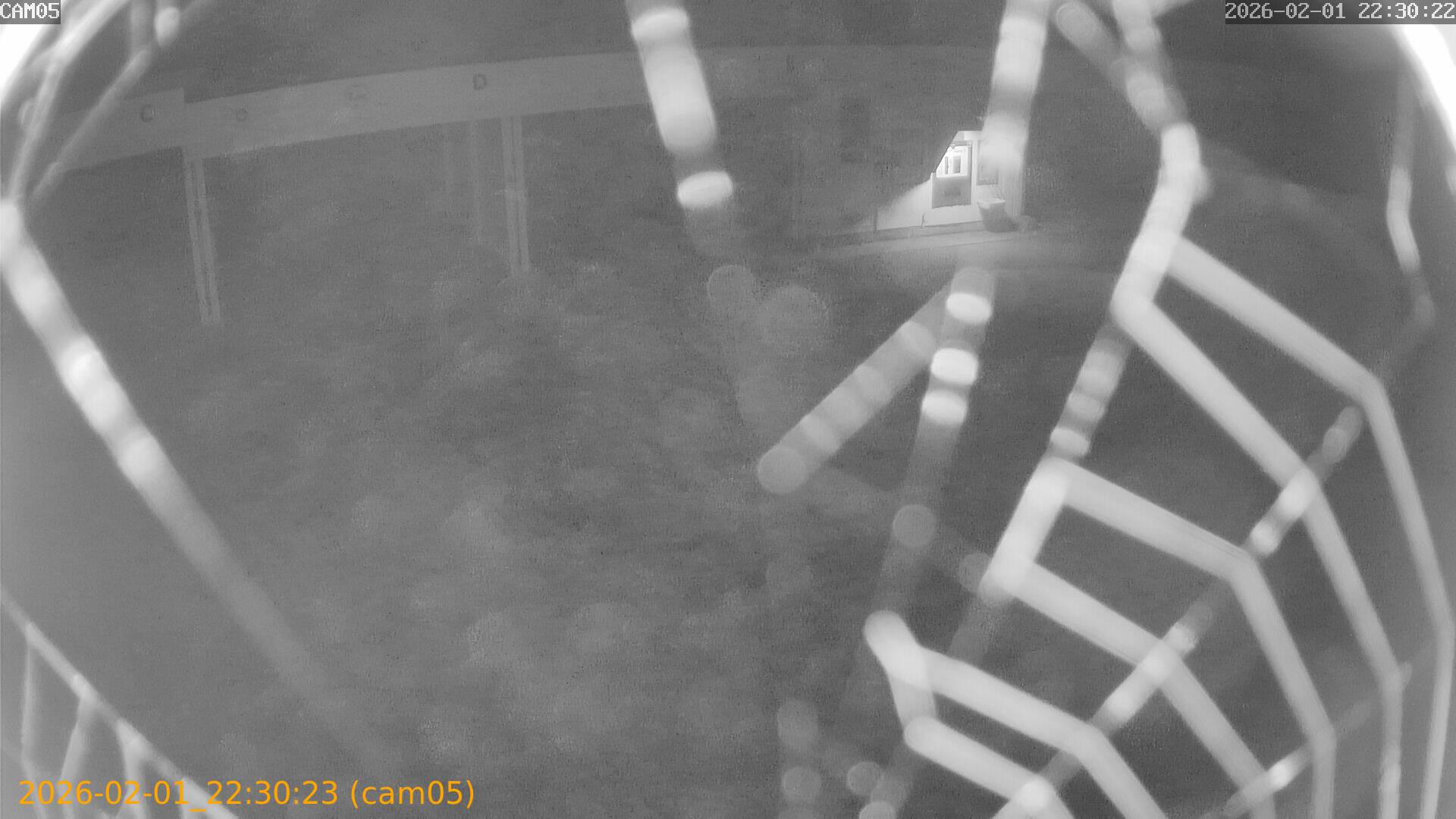 thumbnail_20260201223023