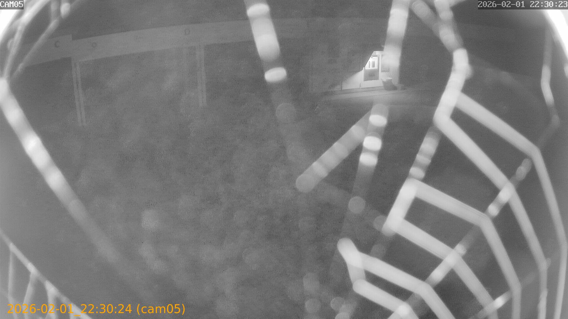 thumbnail_20260201223024