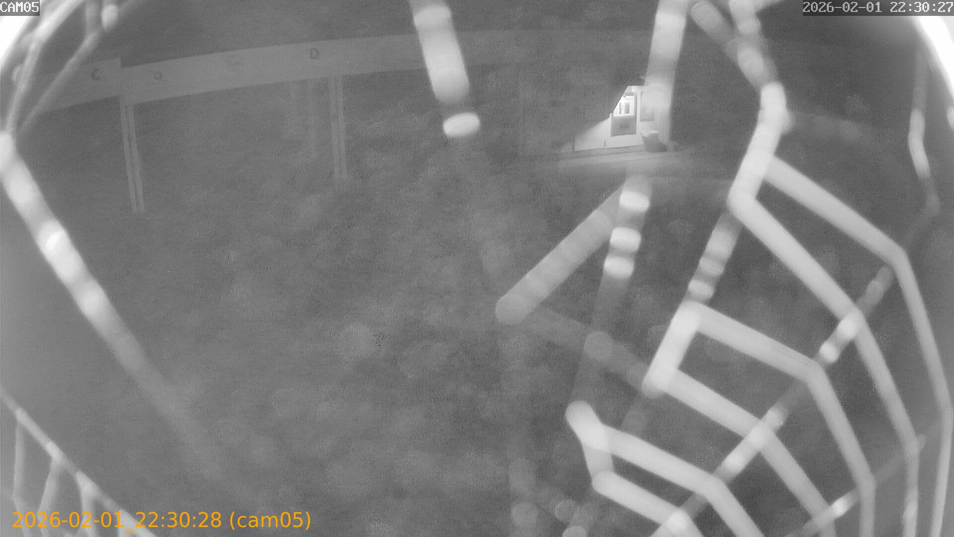 thumbnail_20260201223028