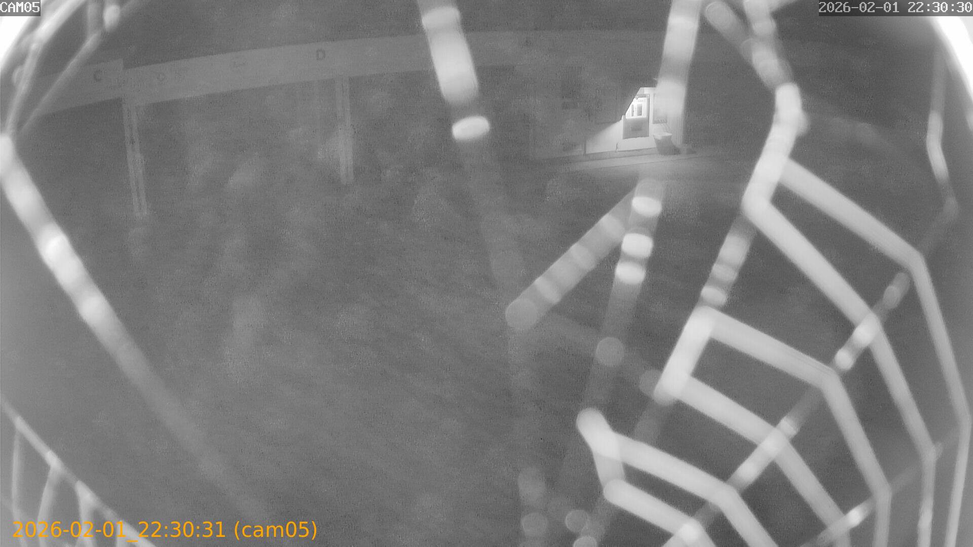 thumbnail_20260201223031