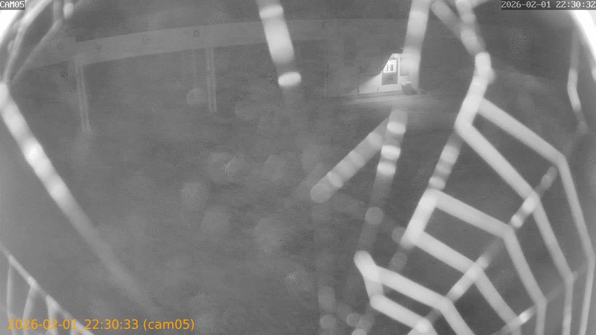 thumbnail_20260201223033