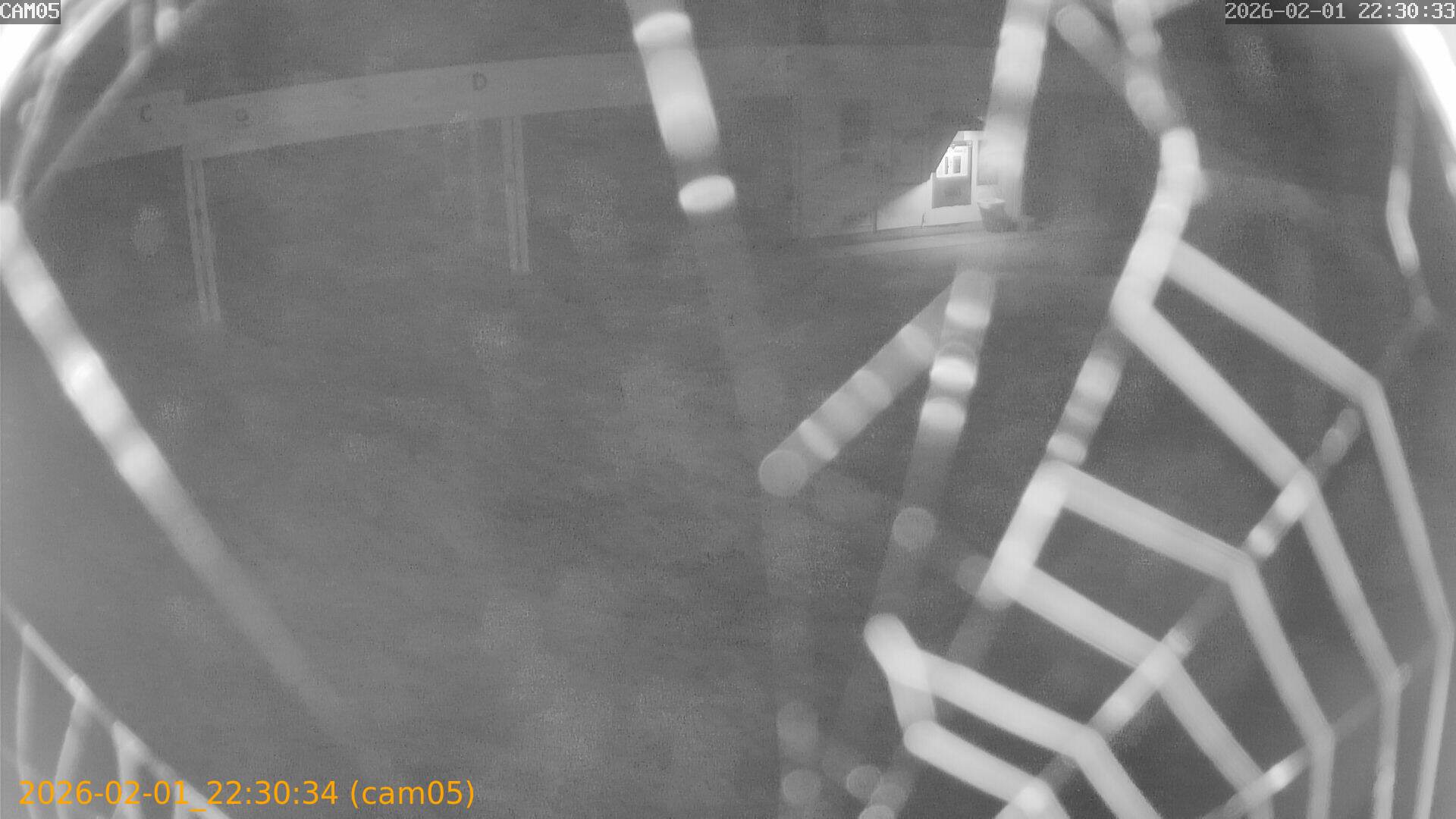 thumbnail_20260201223034