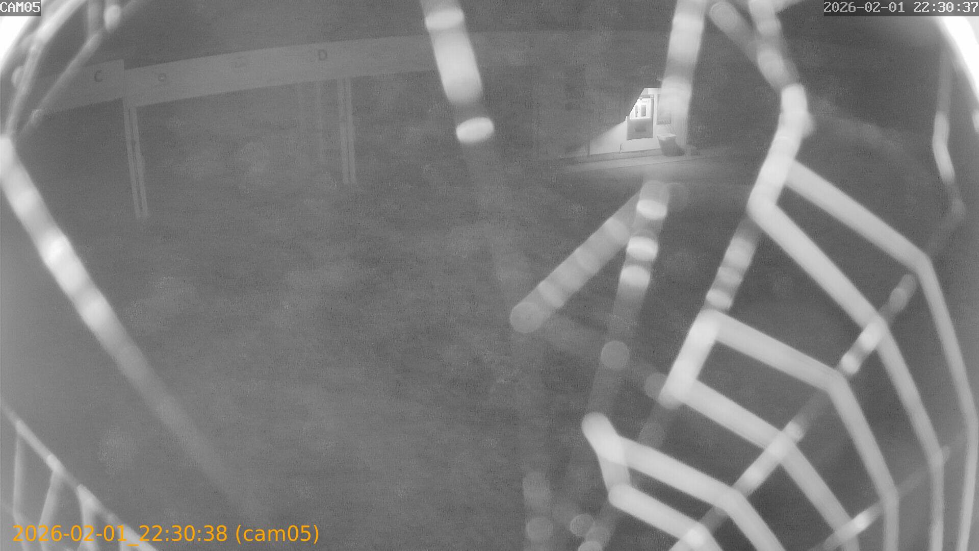 thumbnail_20260201223038