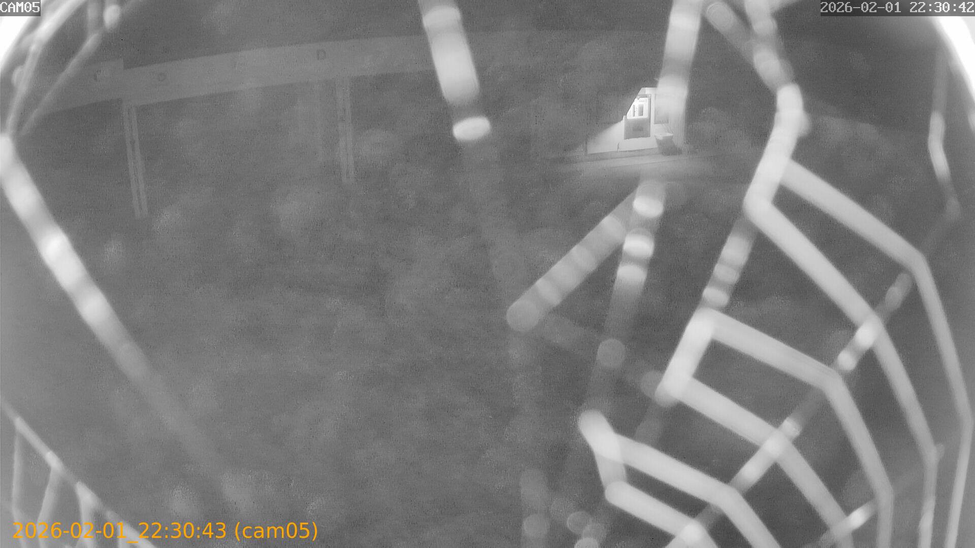 thumbnail_20260201223043