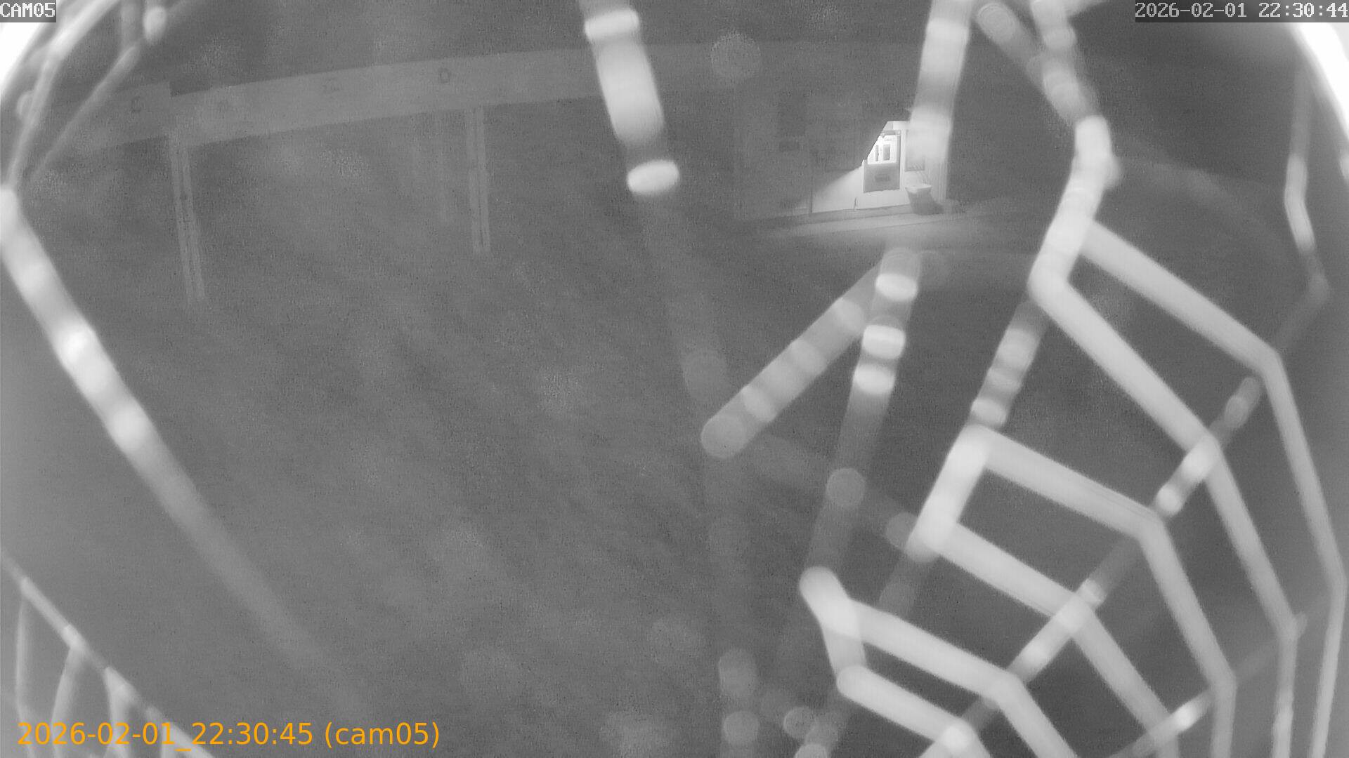 thumbnail_20260201223045