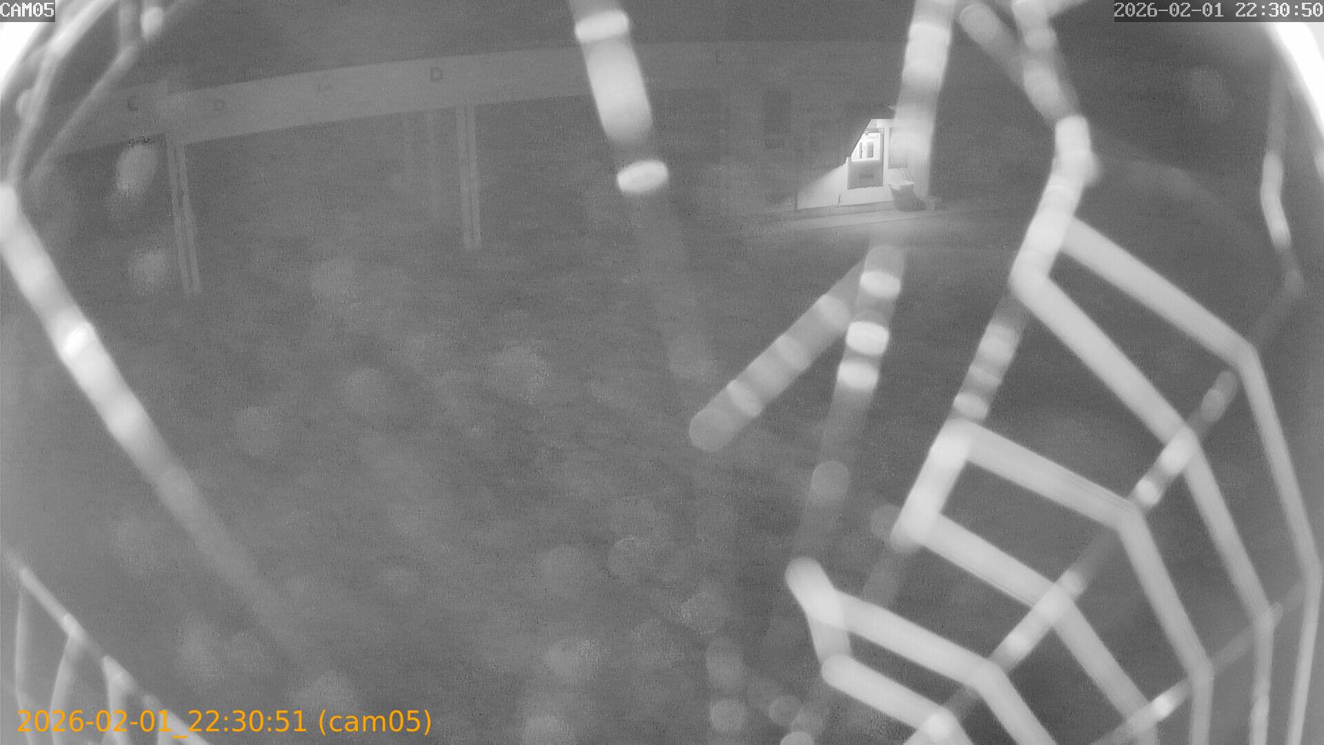 thumbnail_20260201223051