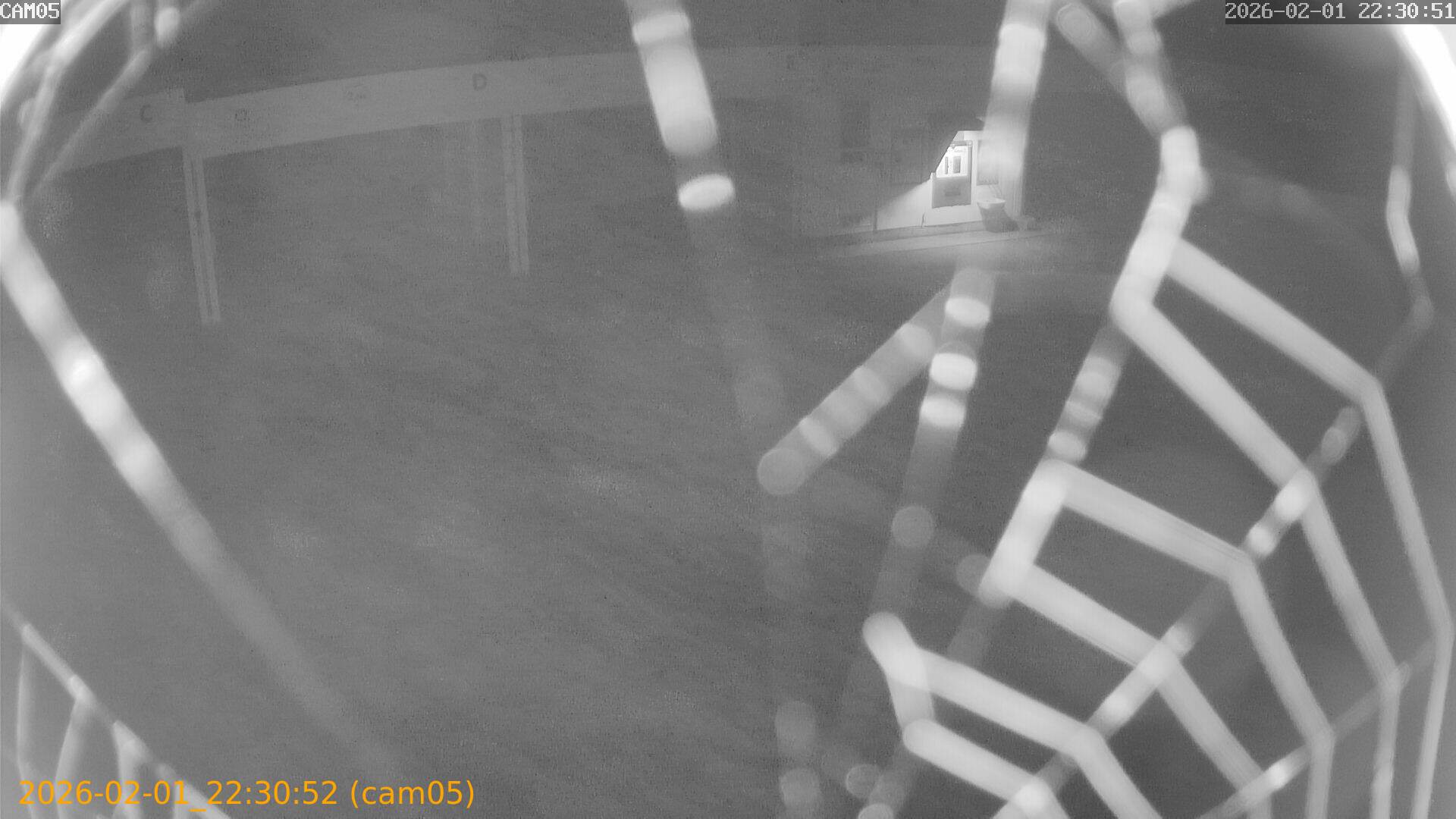 thumbnail_20260201223052