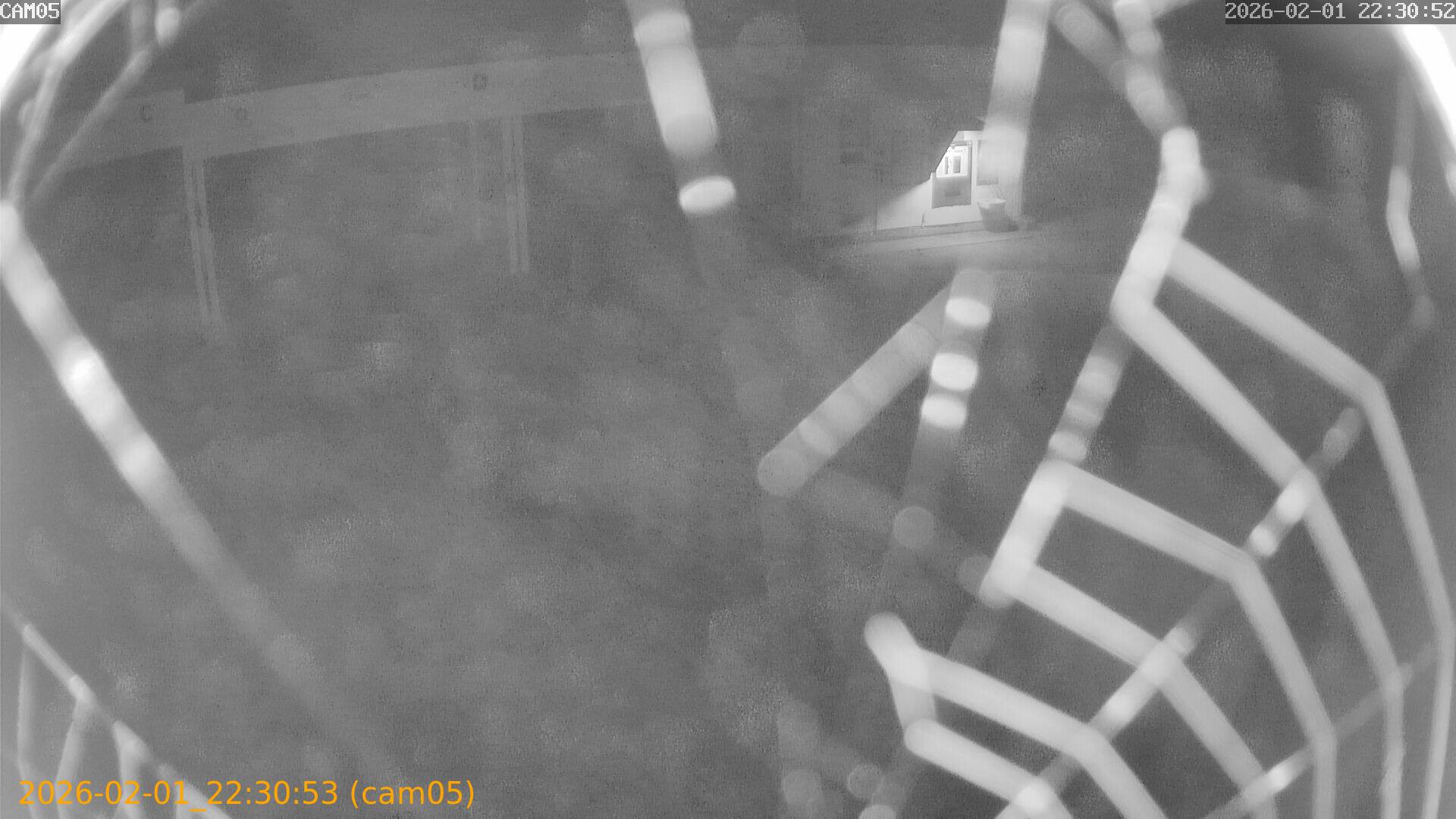 thumbnail_20260201223053