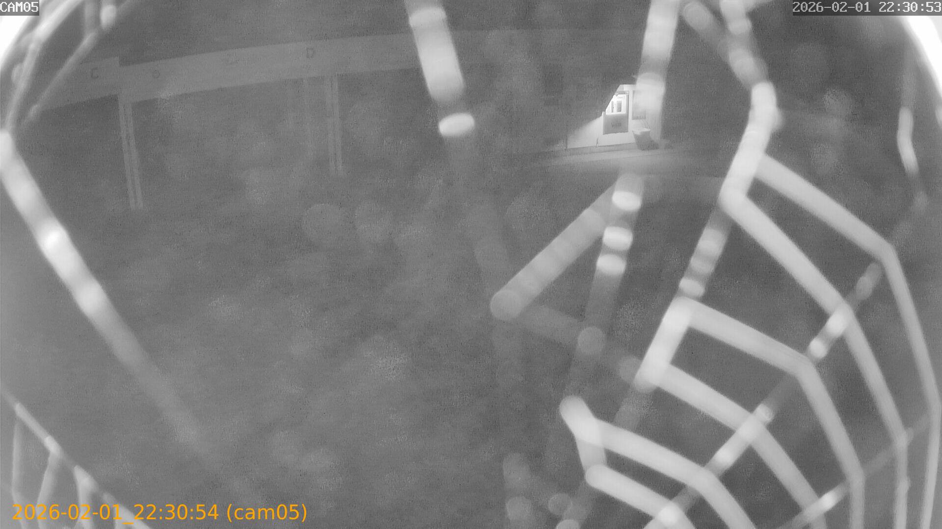 thumbnail_20260201223054