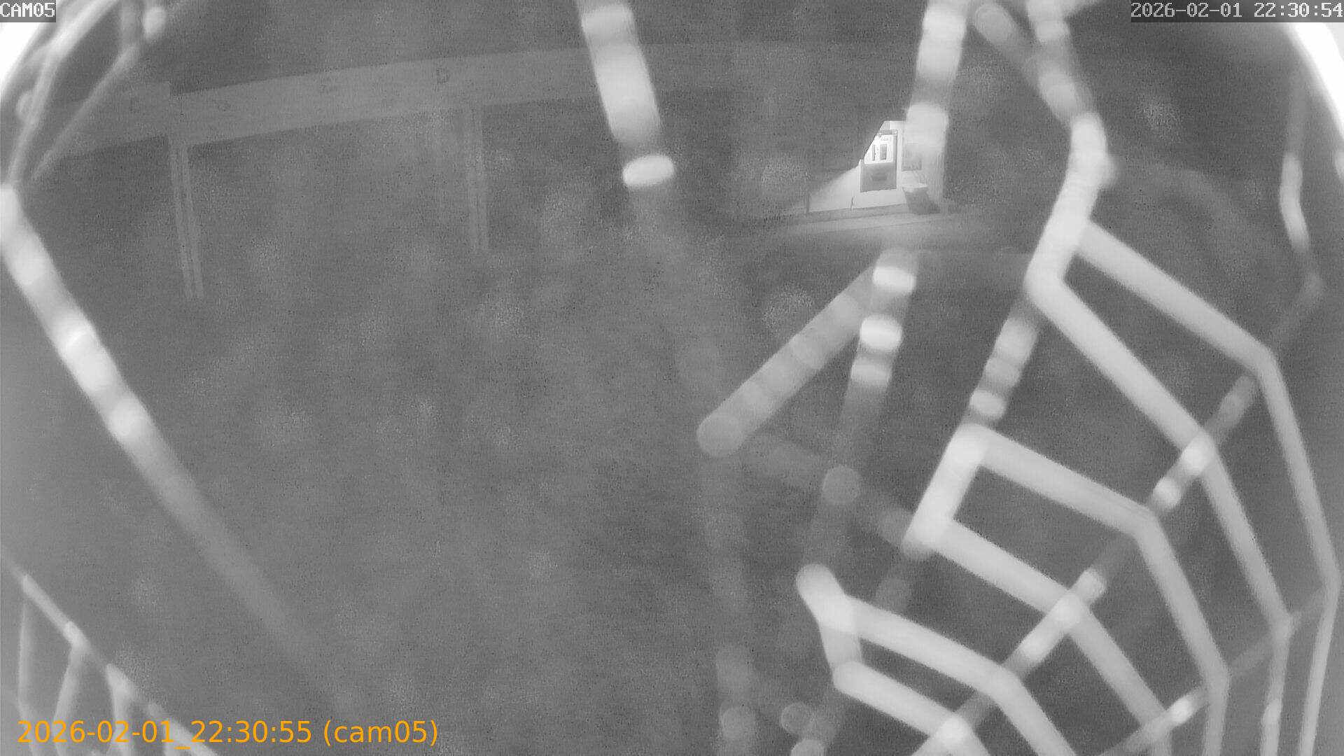 thumbnail_20260201223055