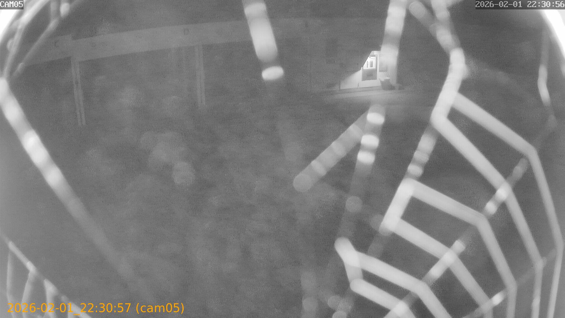 thumbnail_20260201223057