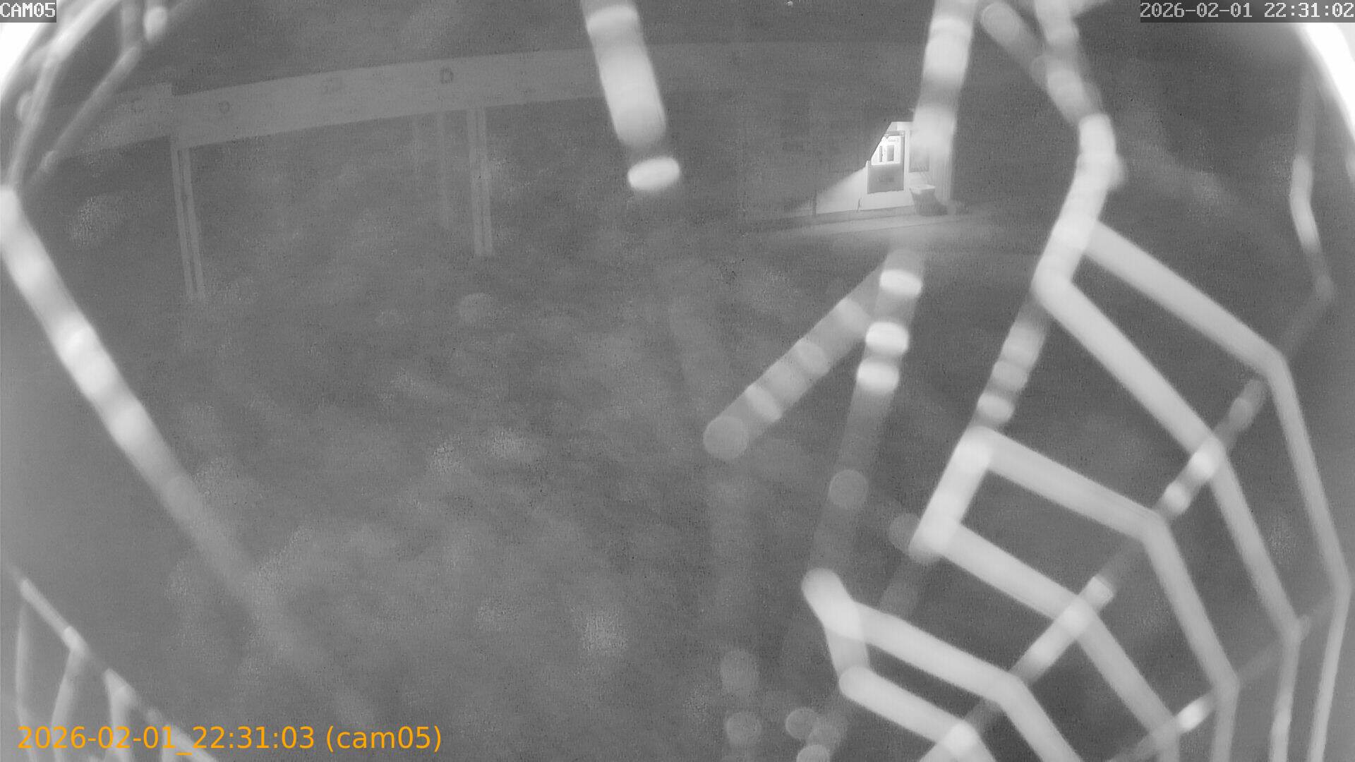 thumbnail_20260201223103